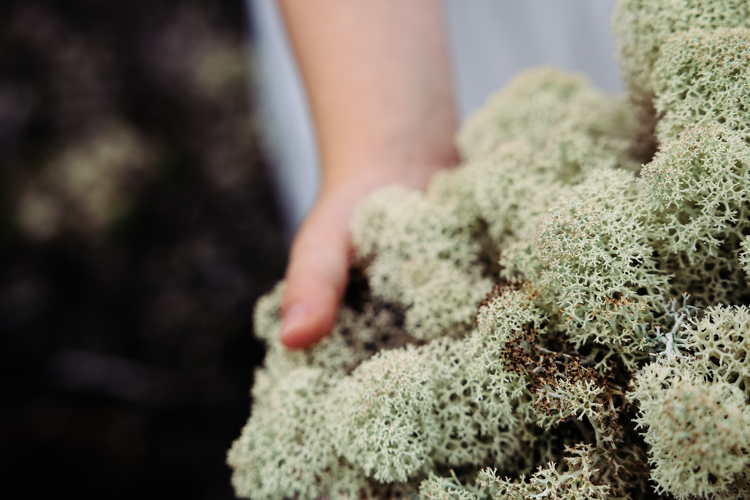 Принцесса севера. Фотограф в Санкт-Петербурге Александра Рябинина-Шрейбер (pharsh_photographer)