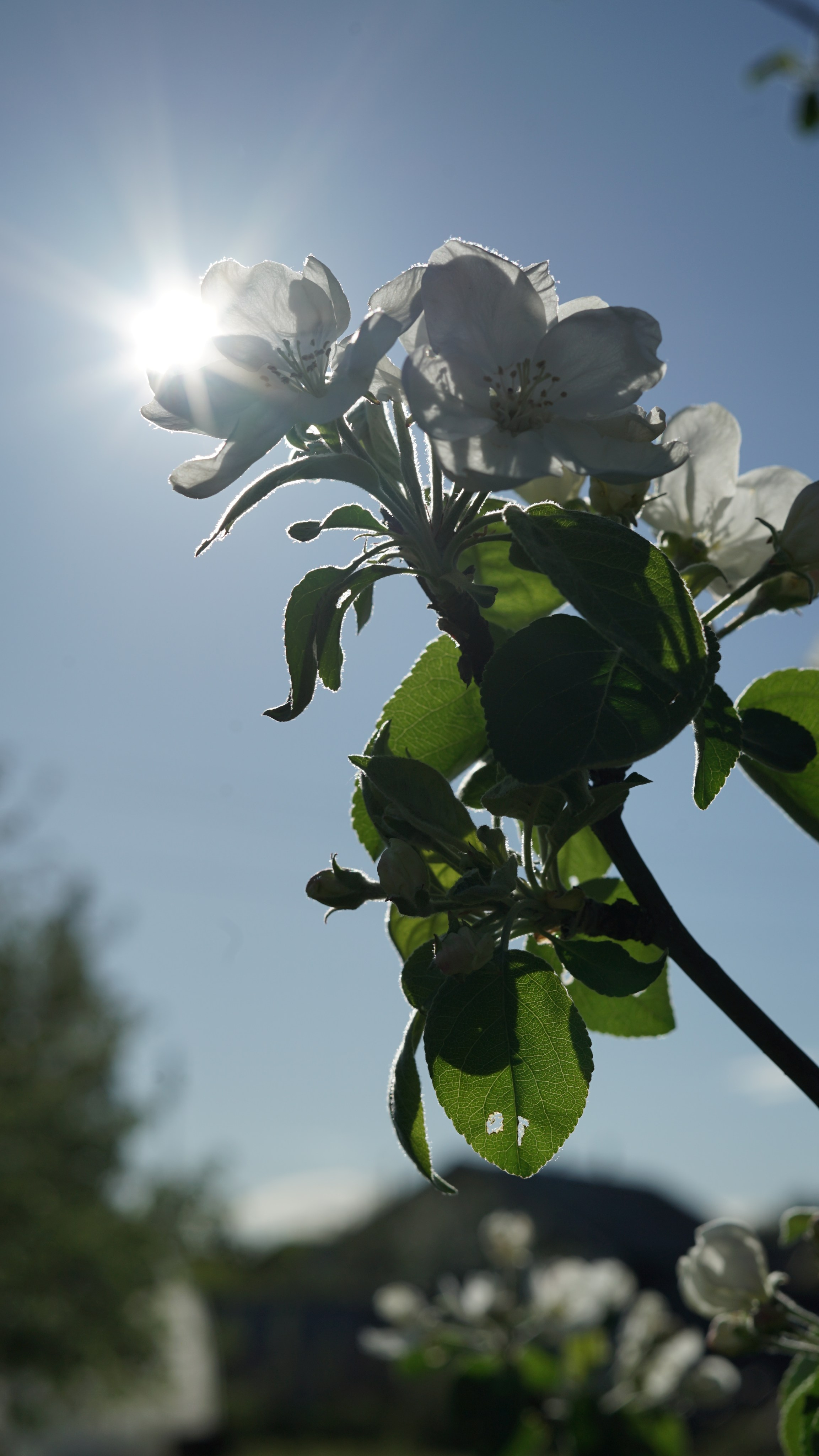 Вся красота мира в одной картинке