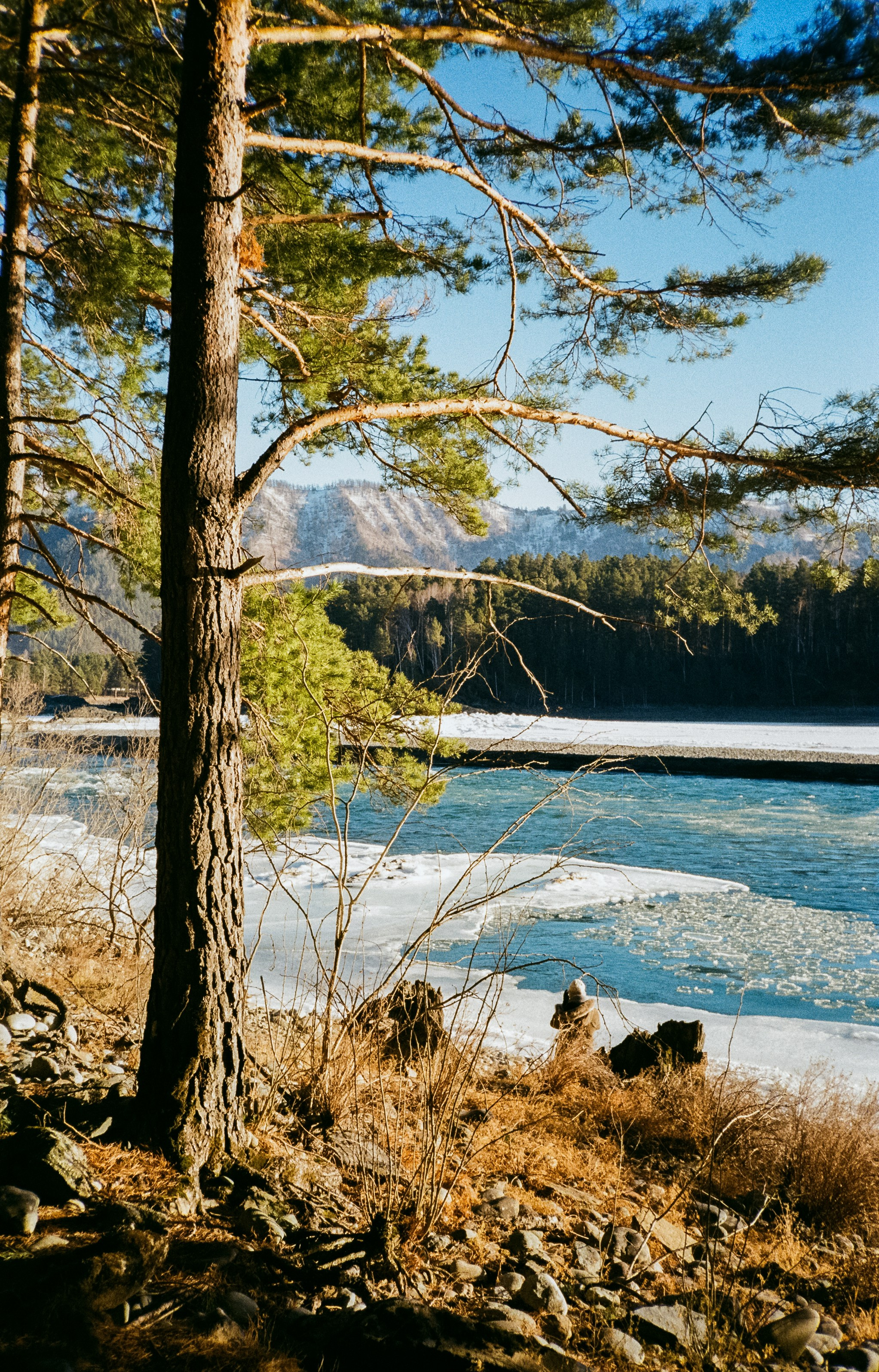База Берель, база Тихий берег, Бережок / 23 декабря 2023 года (-10℃)