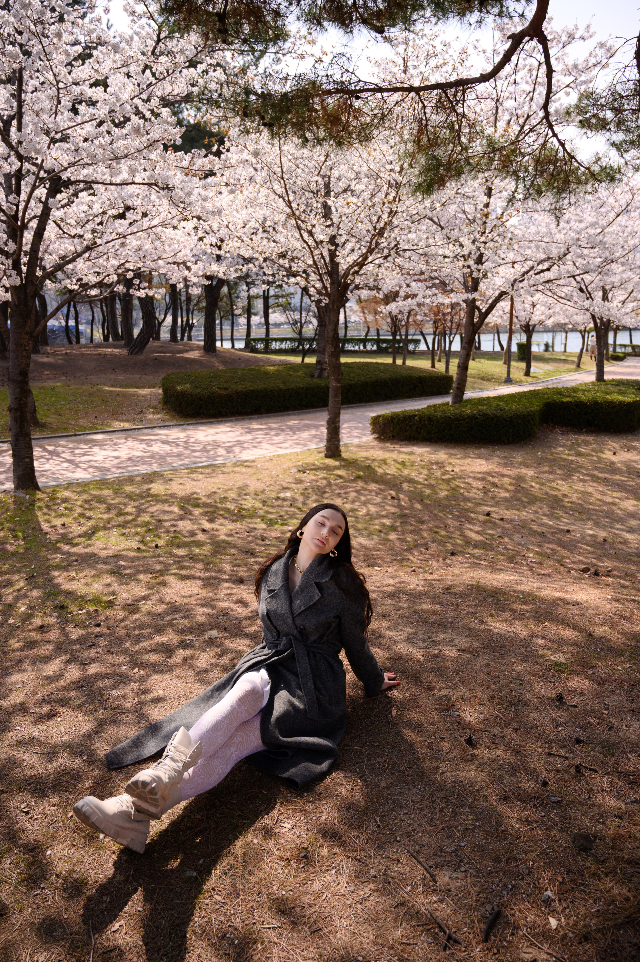 Fotografía con hanbok tradicional bajo flores de cerezo en Busan