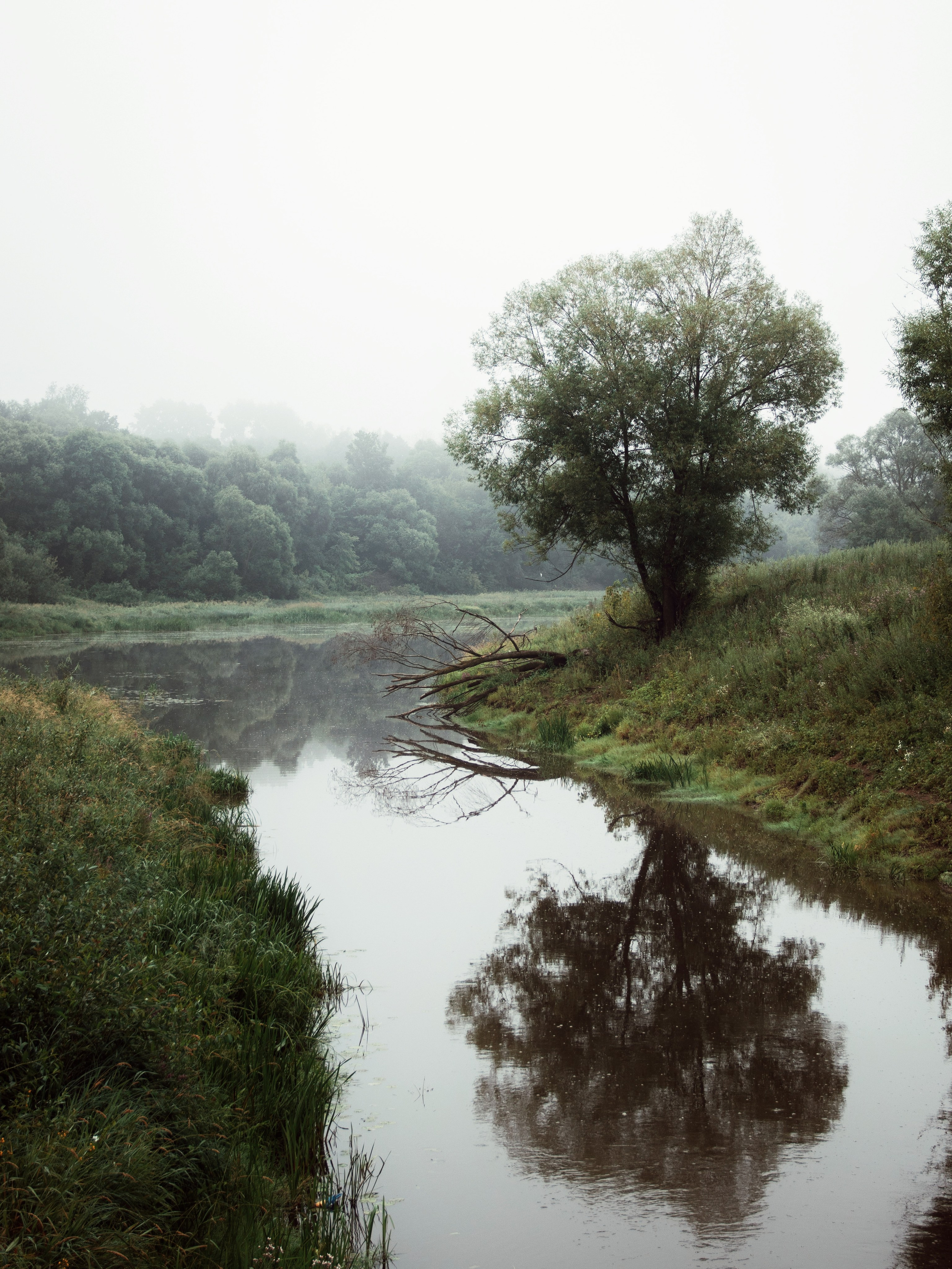 Застывшая утренняя тишина. С любовью, фотохудожник