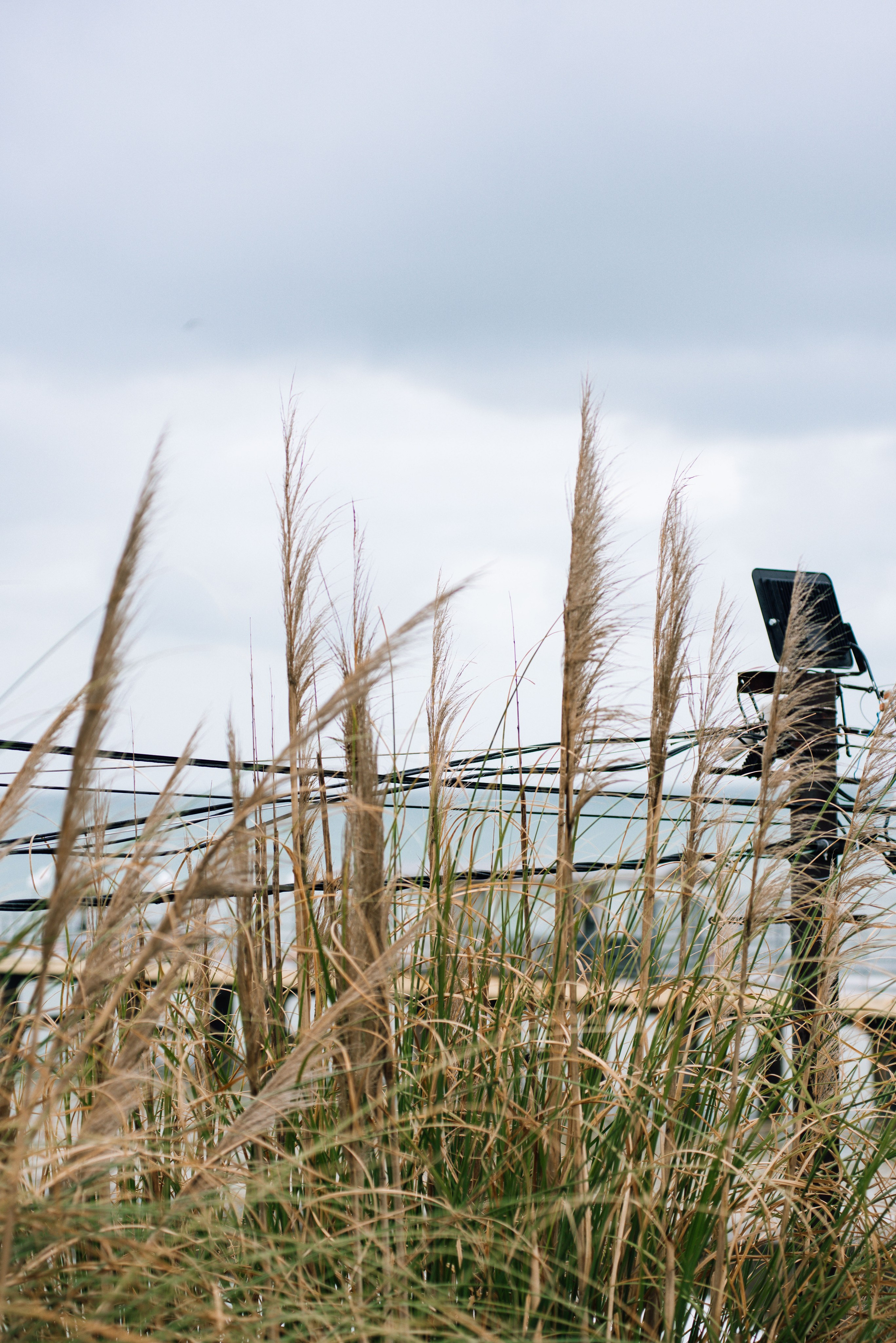Фотограф для маркет плэйсов и портретный фотограф Балакирев Дмитрий москва
