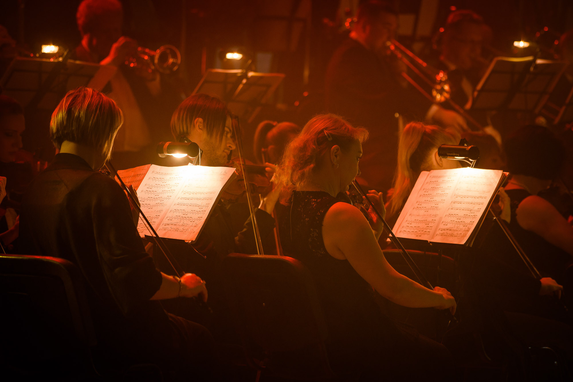 Скрипачки в составе симфонического оркестра