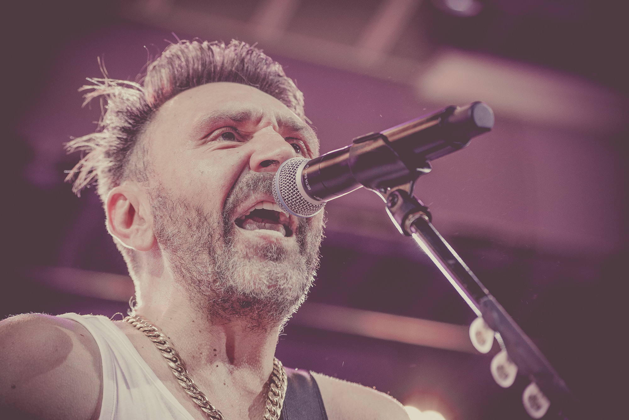 сергей шнуров у микрофона