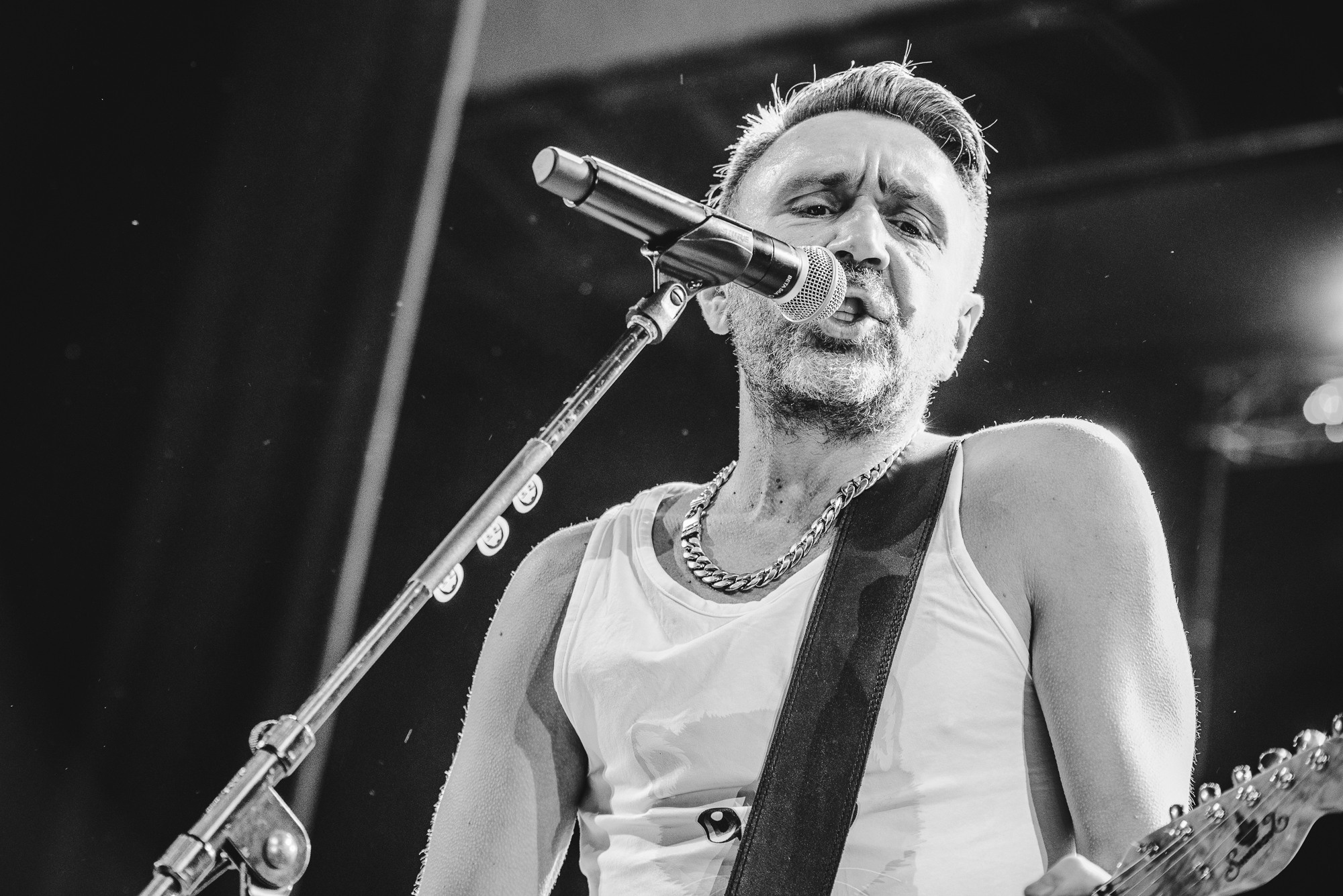 сергей шнуров на концерте