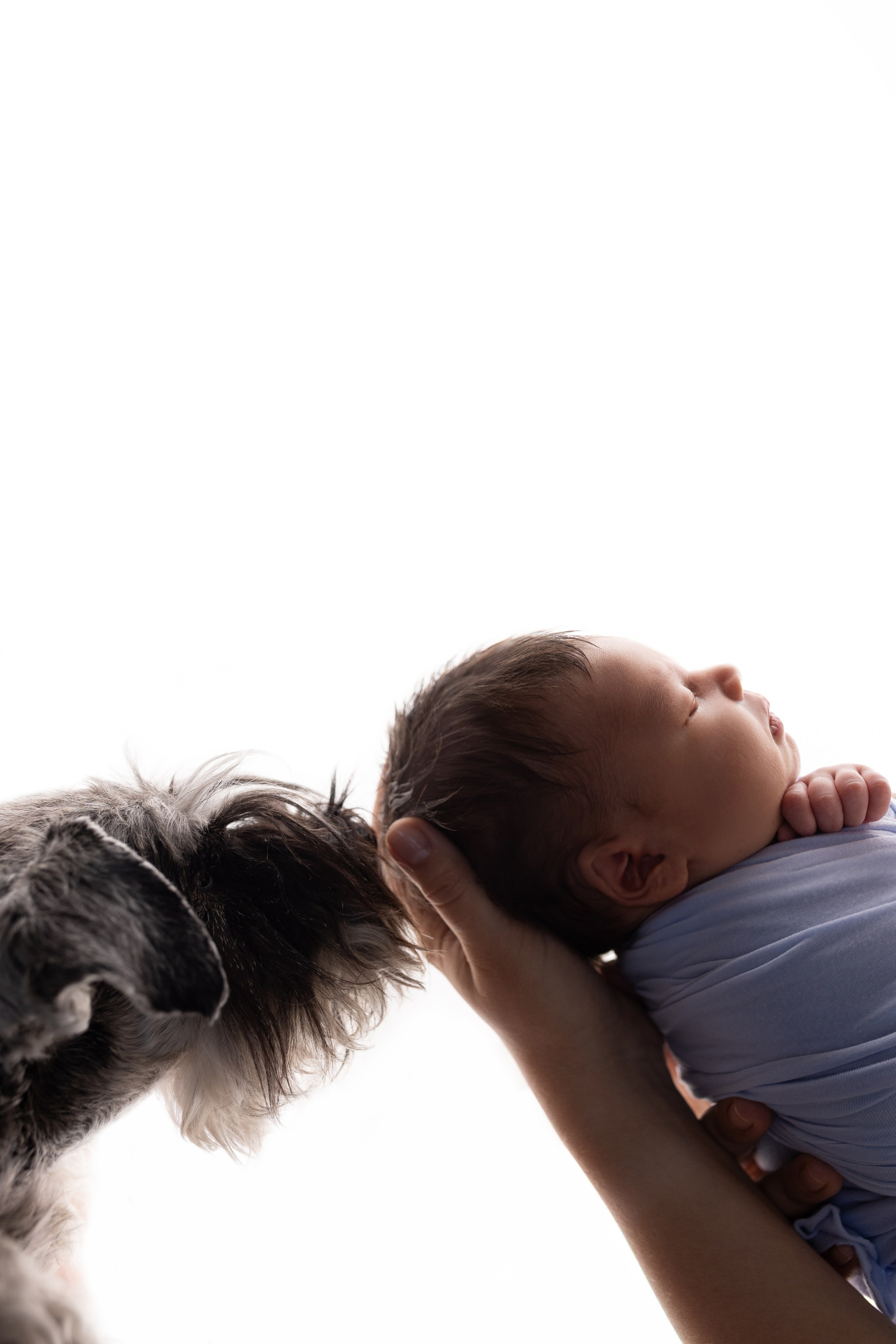 Классический ньюборн newborn. Фотограф новорожденных в г. Барнаул Ренпенинг Катерина