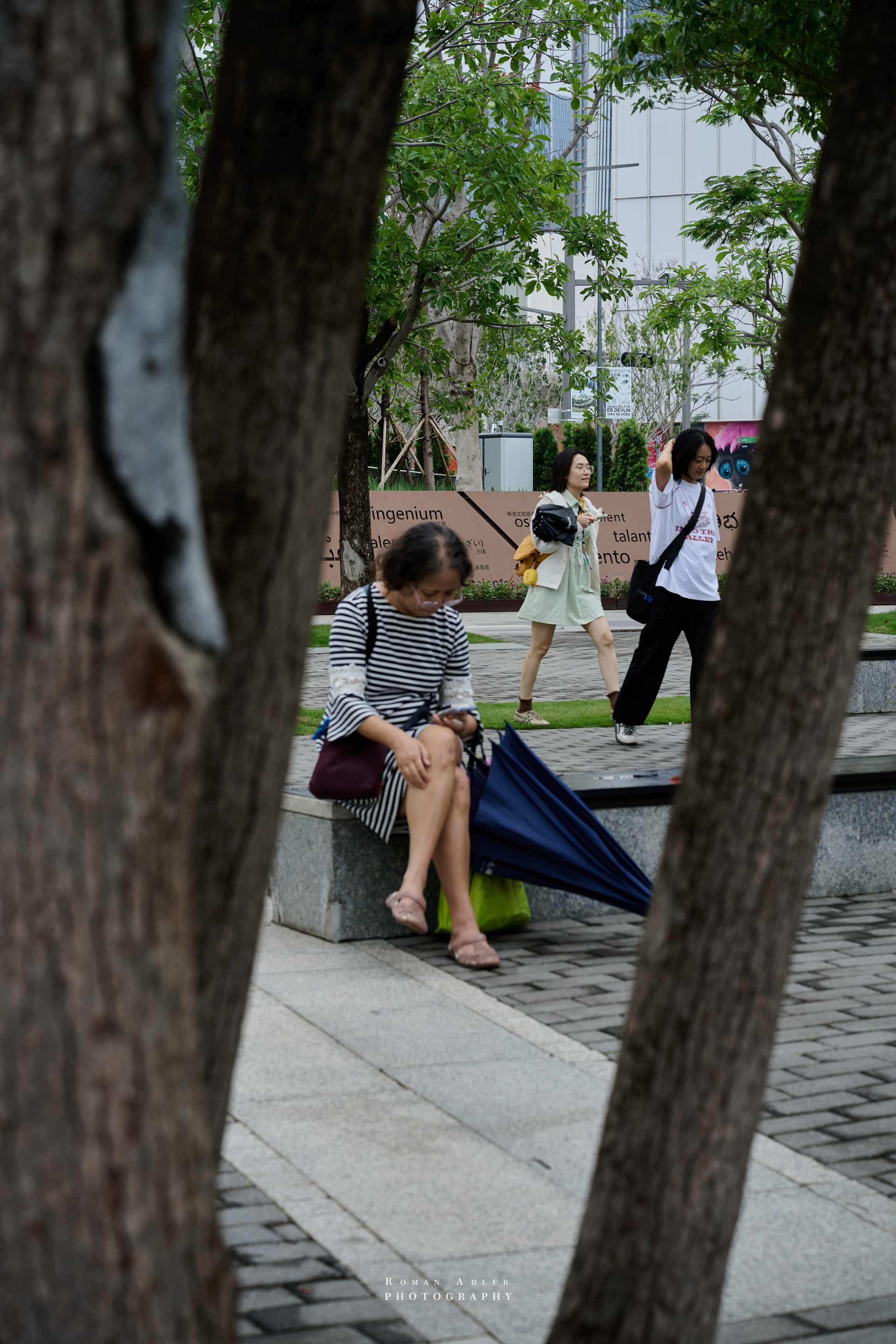 Shenzhen: The Story of a Fishing Village That Became a City of the Future