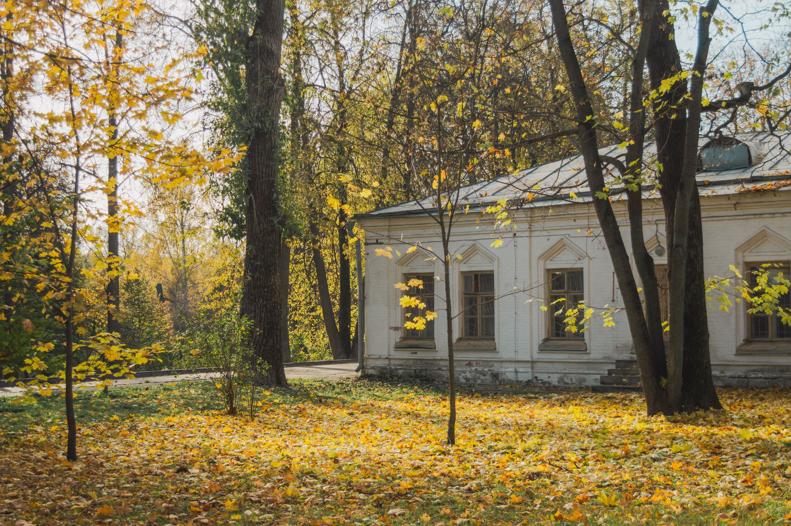 Октябрь в городе. Фотограф Анастасия Лощакова в Москве