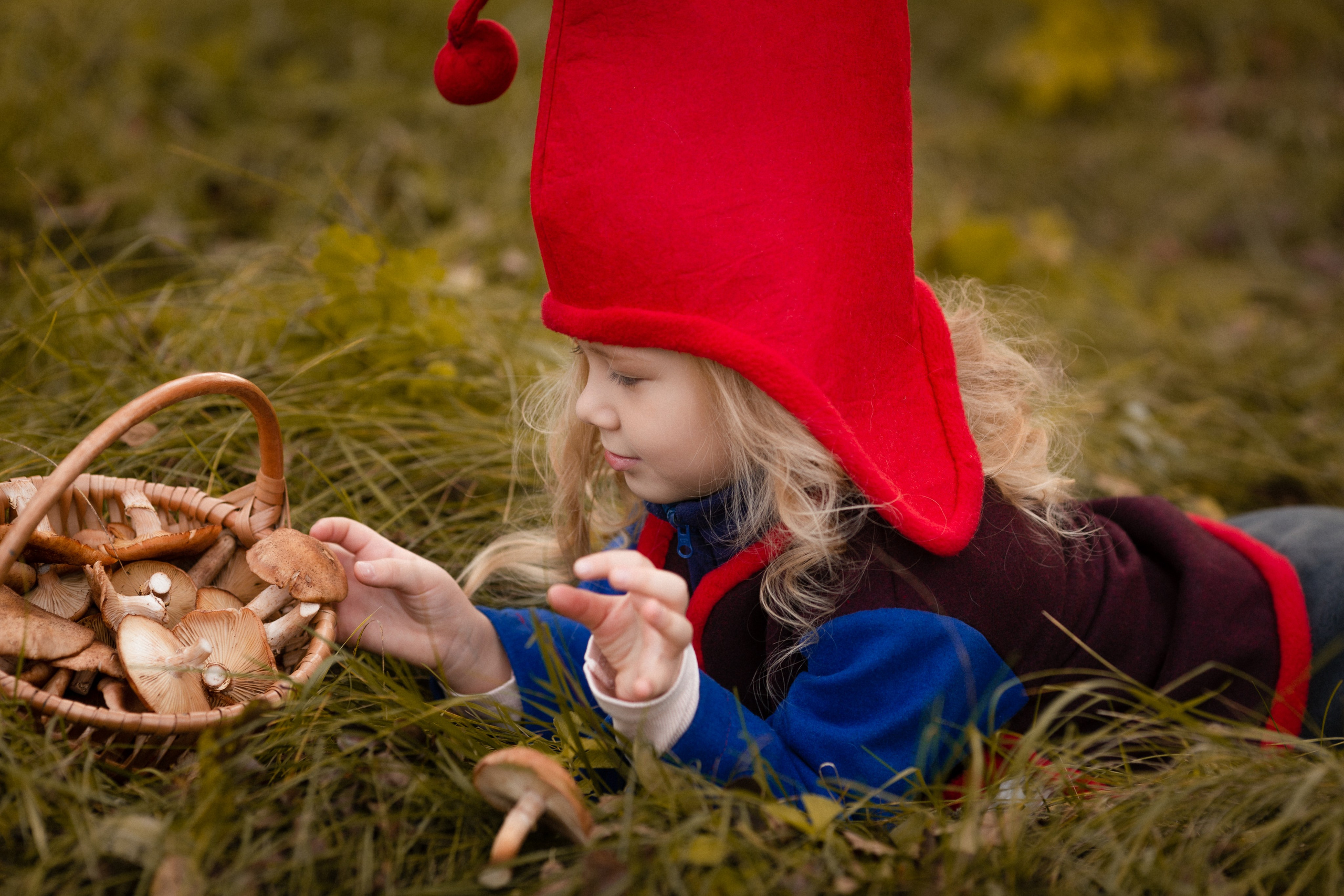 Лесные гномы