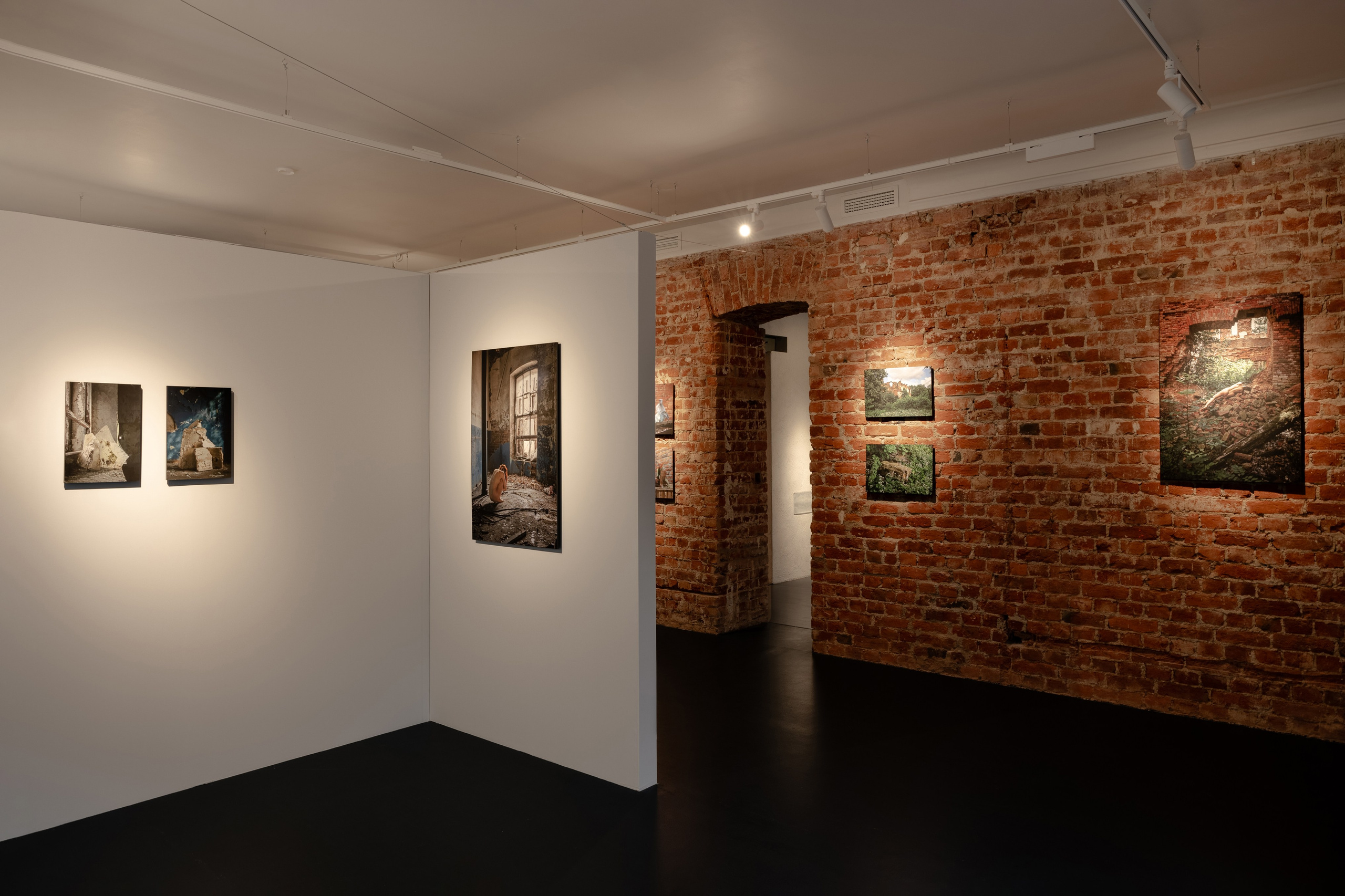 Живое, мёртвое, спутанное