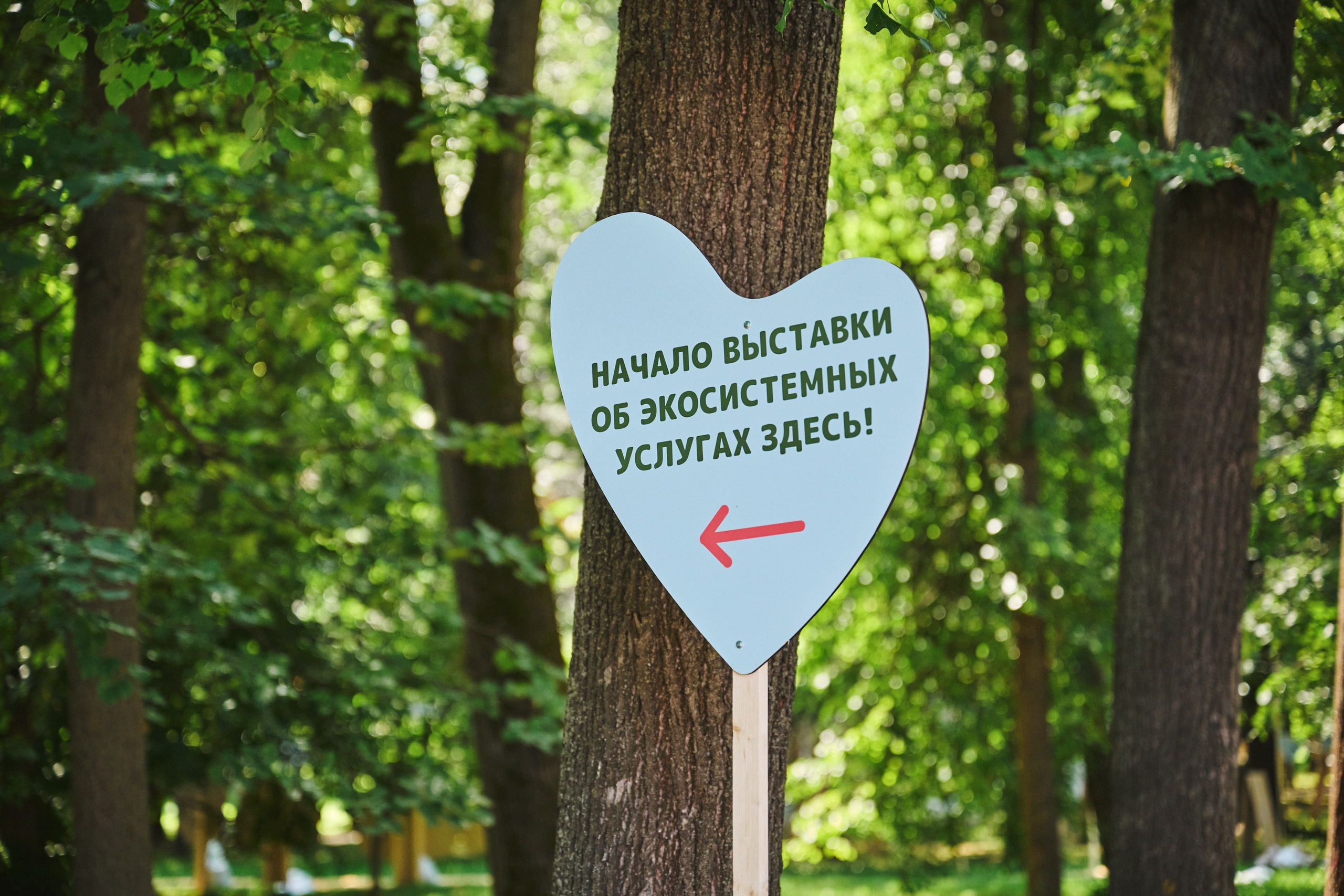 Ива фест 2025. Фотограф в Иваново: Каталожная съемка одежды и постельного белья, Wildberries