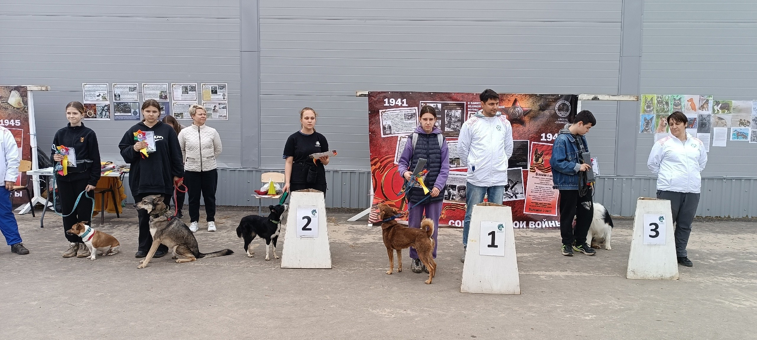 Кинологические старты. НРОО КЦ "Собаковод"