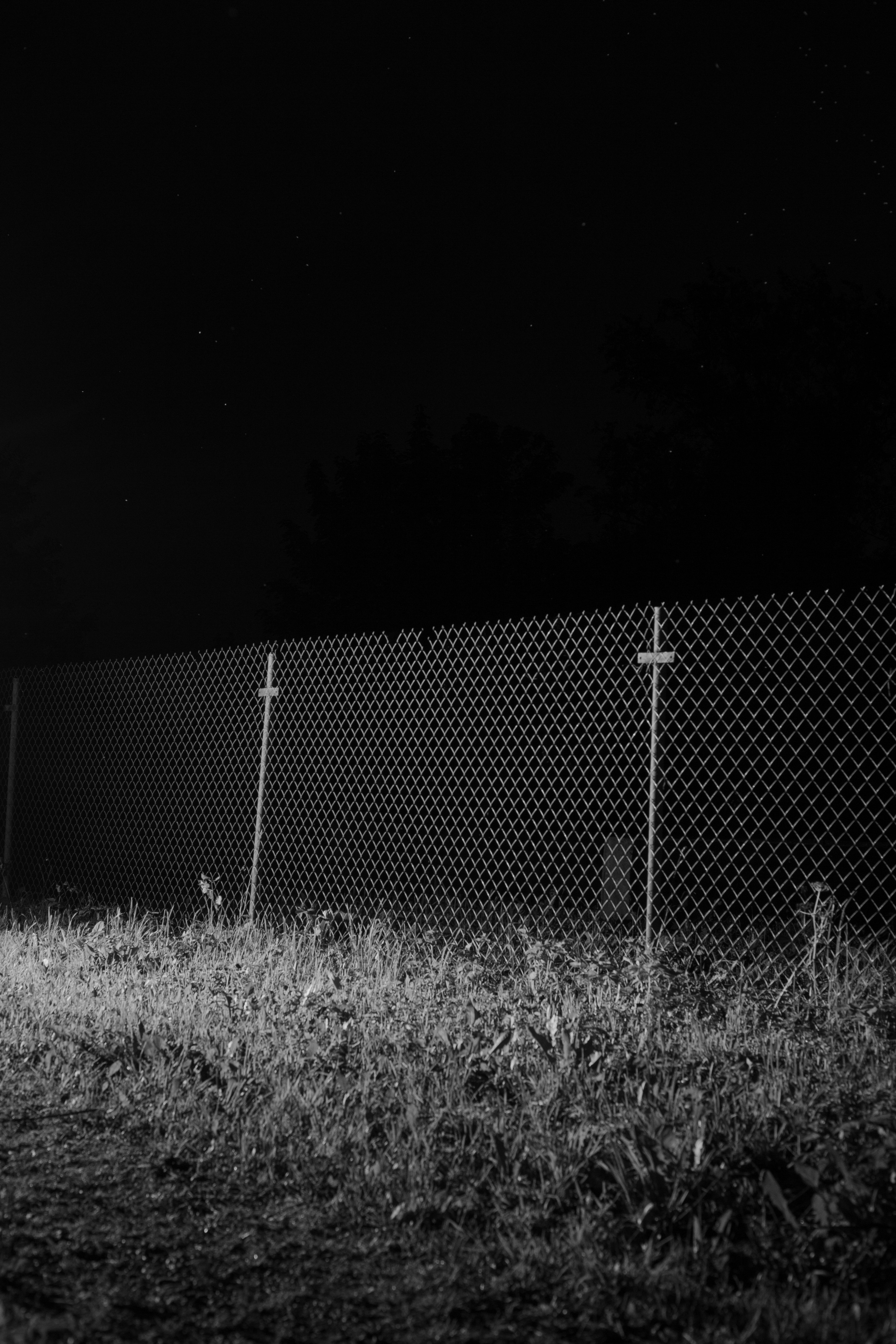 Fruits still falls from apple trees. Kristina Sergeeva