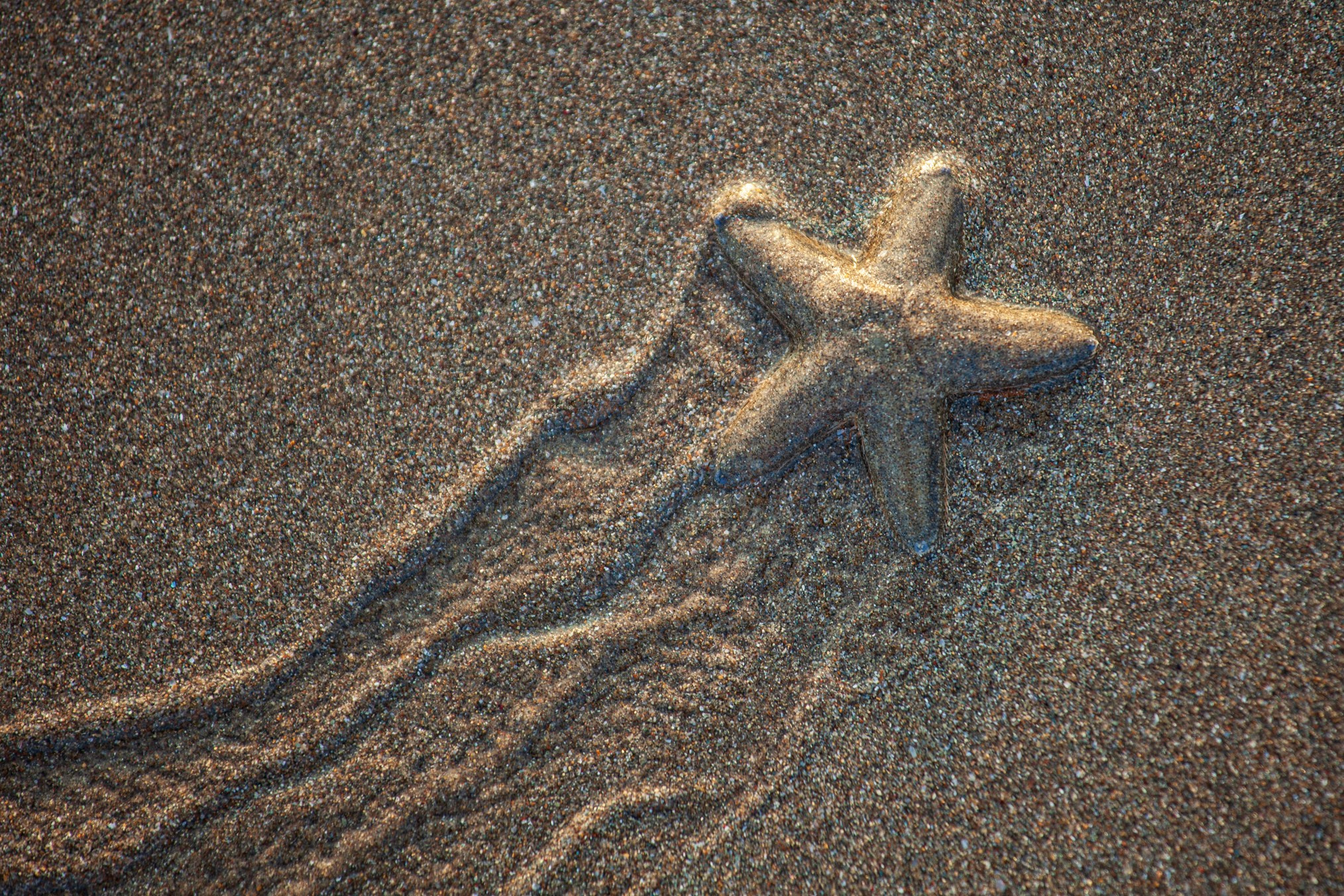 High-quality interior photos for your home, office, hotel