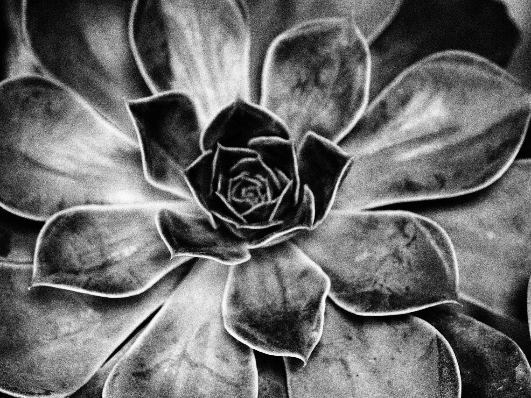 Елена Гонтаренко — художественный портрет. Фотограф в России, Семейный фотограф, репортажный фотограф, детский фотограф, портретный фотограф, контент фотограф, универсальный фотограф