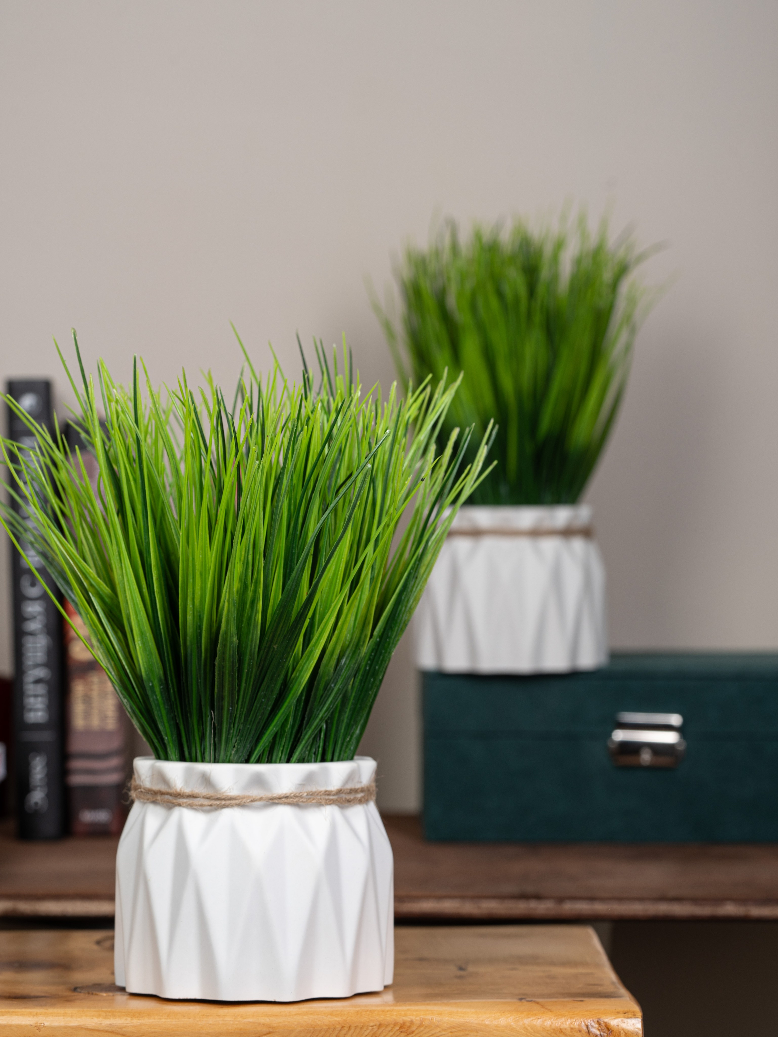 фотосъемка травки