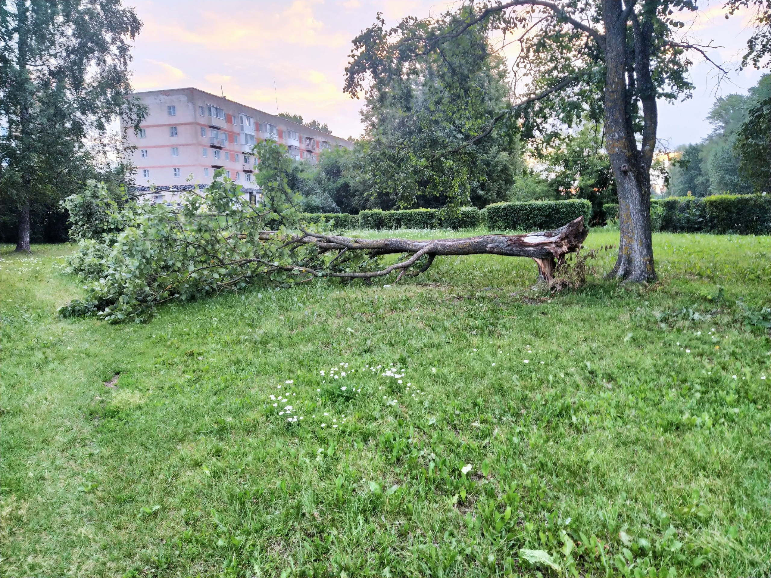 Елена Иванова