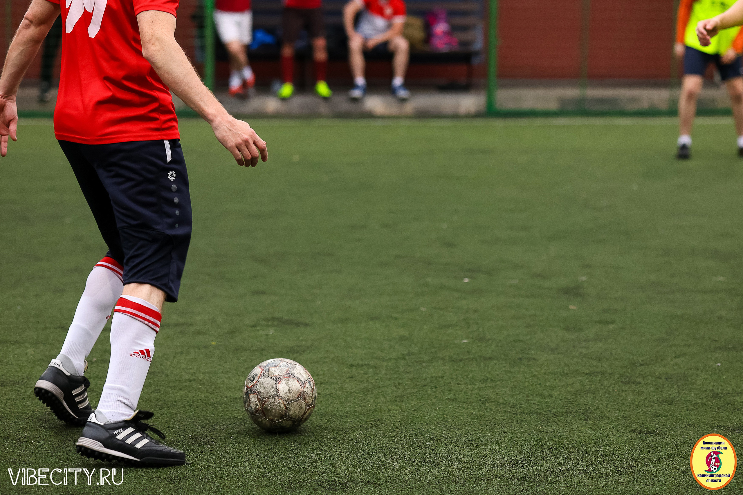 ИГРЫ МИНИ-ФУТБОЛЬНОЙ И КОРПОРАТИВНОЙ ЛИГИ. VIBECITY.RU Вайб Сити Ру Фоторепортажи Фотоотчеты Калининград