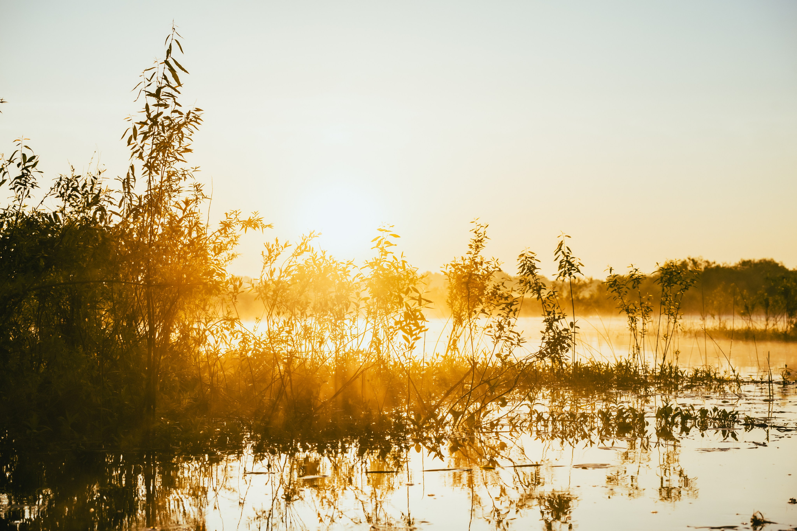 Репортажный фотограф Владимир Беляй