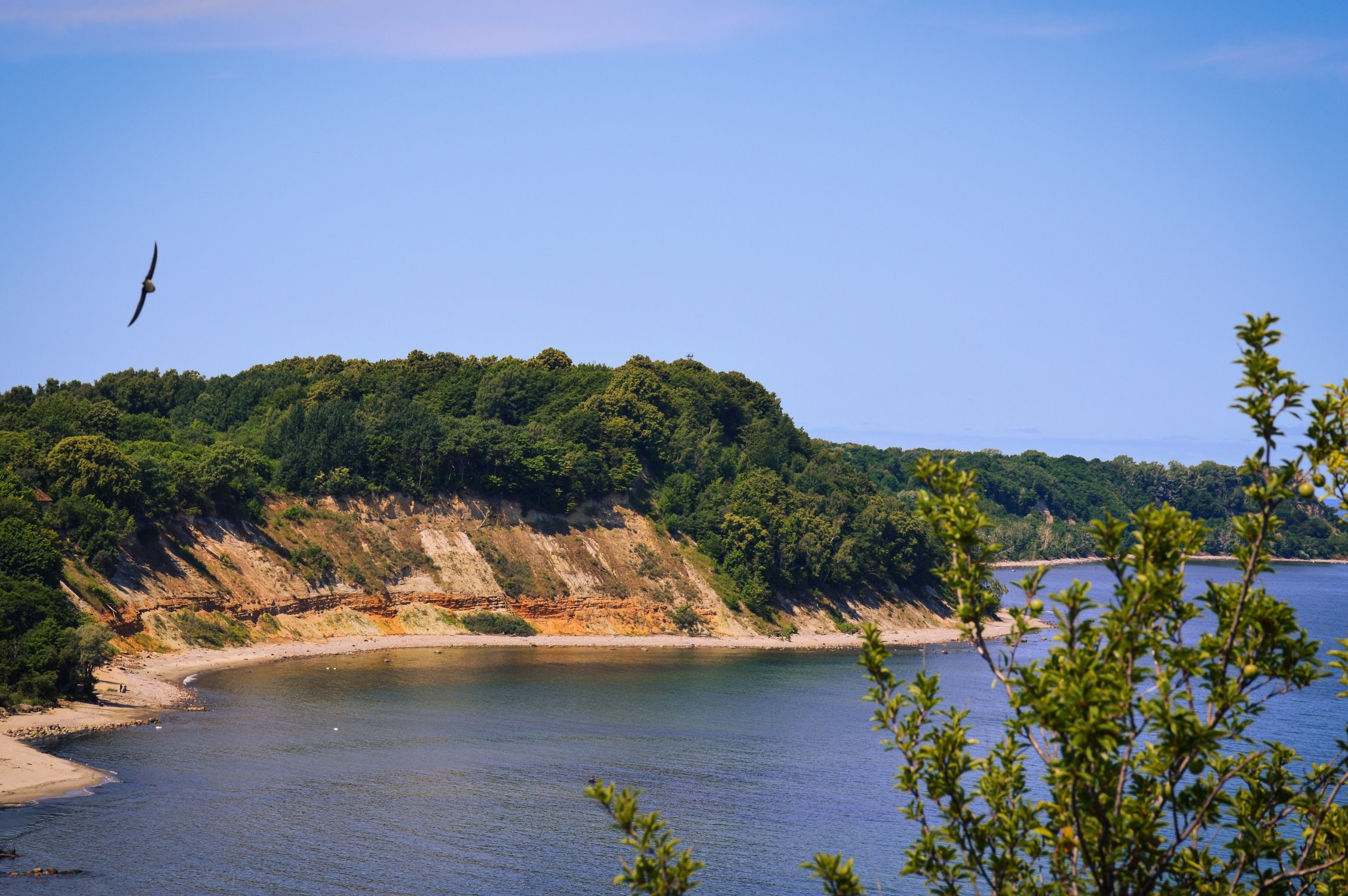 Фототур «Свет янтаря в сердце Балтики». Ольга Котова