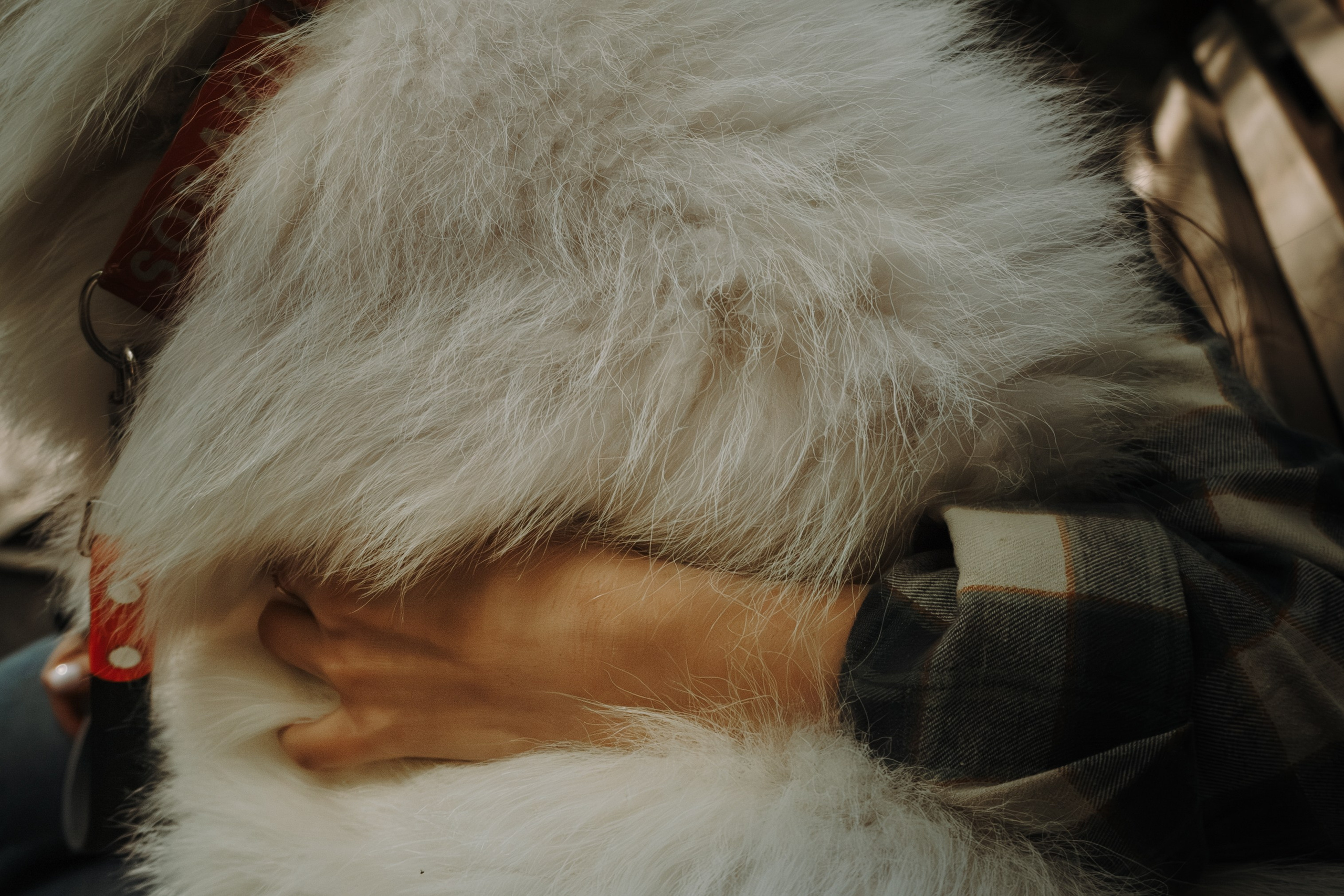 Девушка крепко обнимает свою собаку