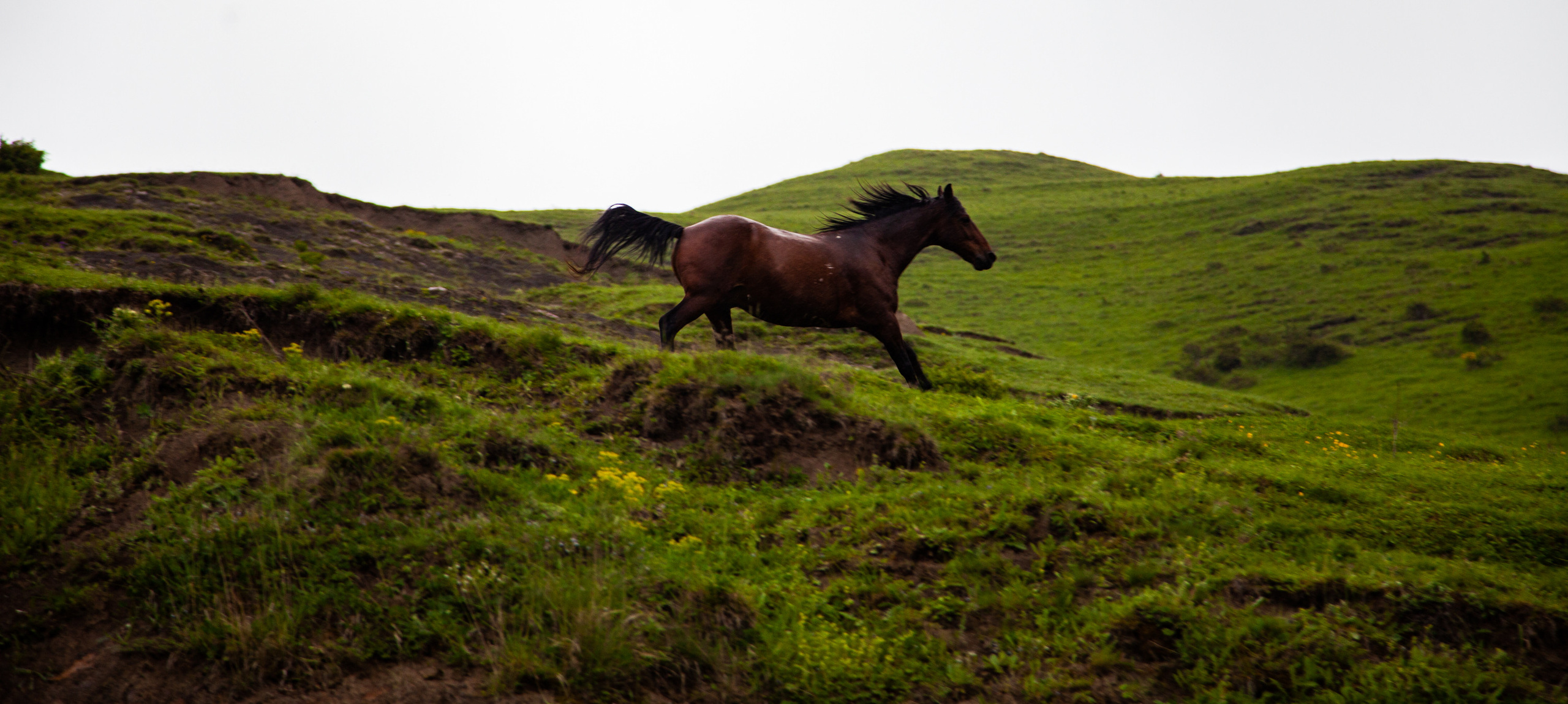 In harmony. Фотохудожник