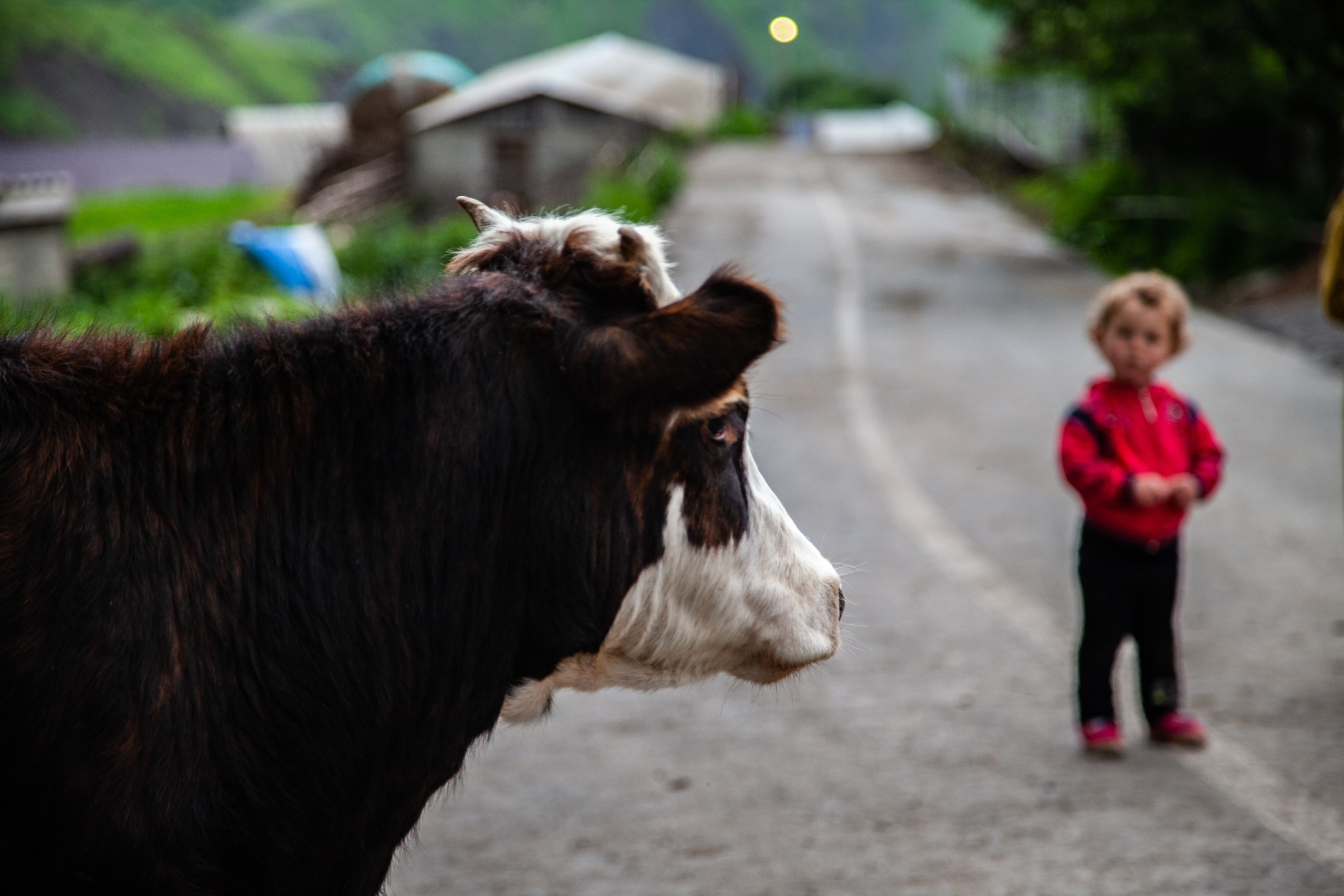 In harmony. Фотохудожник
