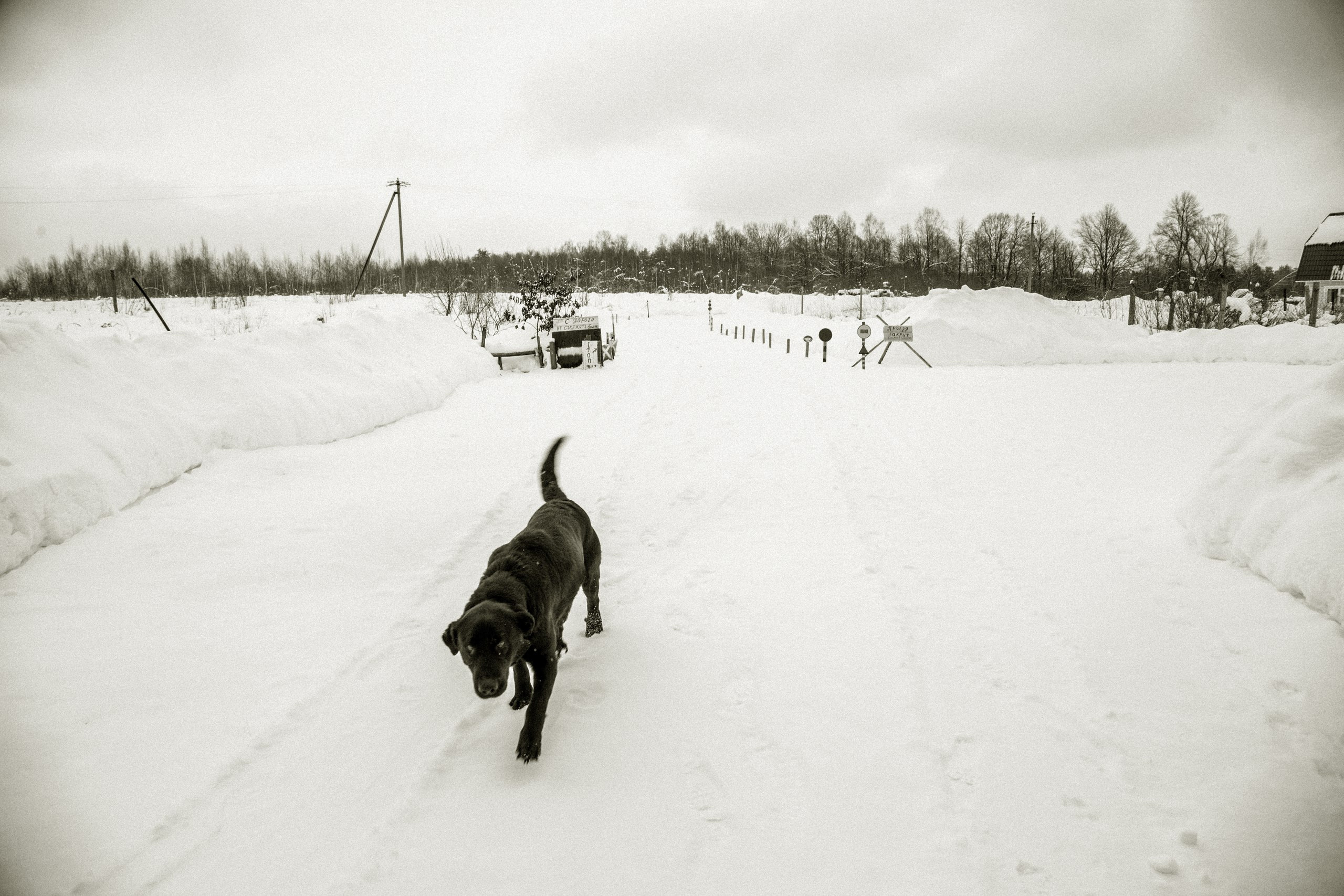 Life under the mountain. Фотохудожник