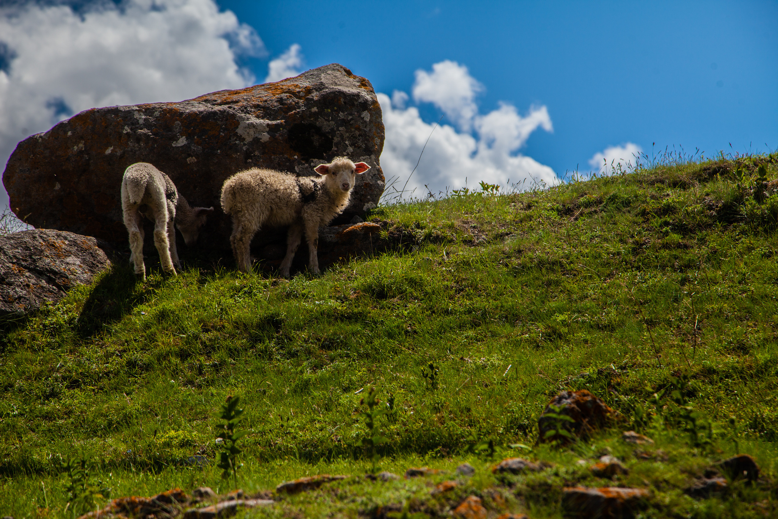 In harmony. Фотохудожник