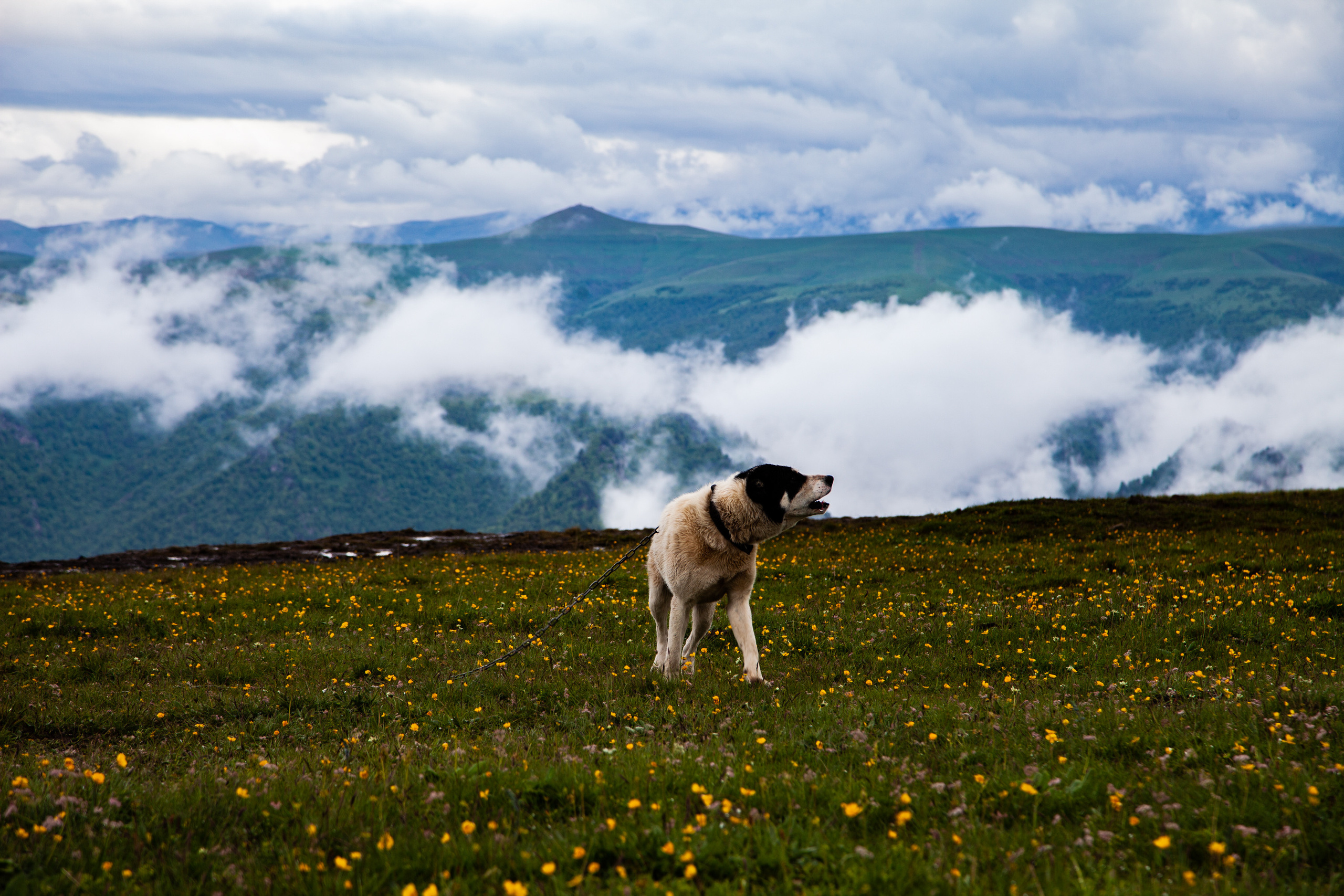 In harmony. Фотохудожник