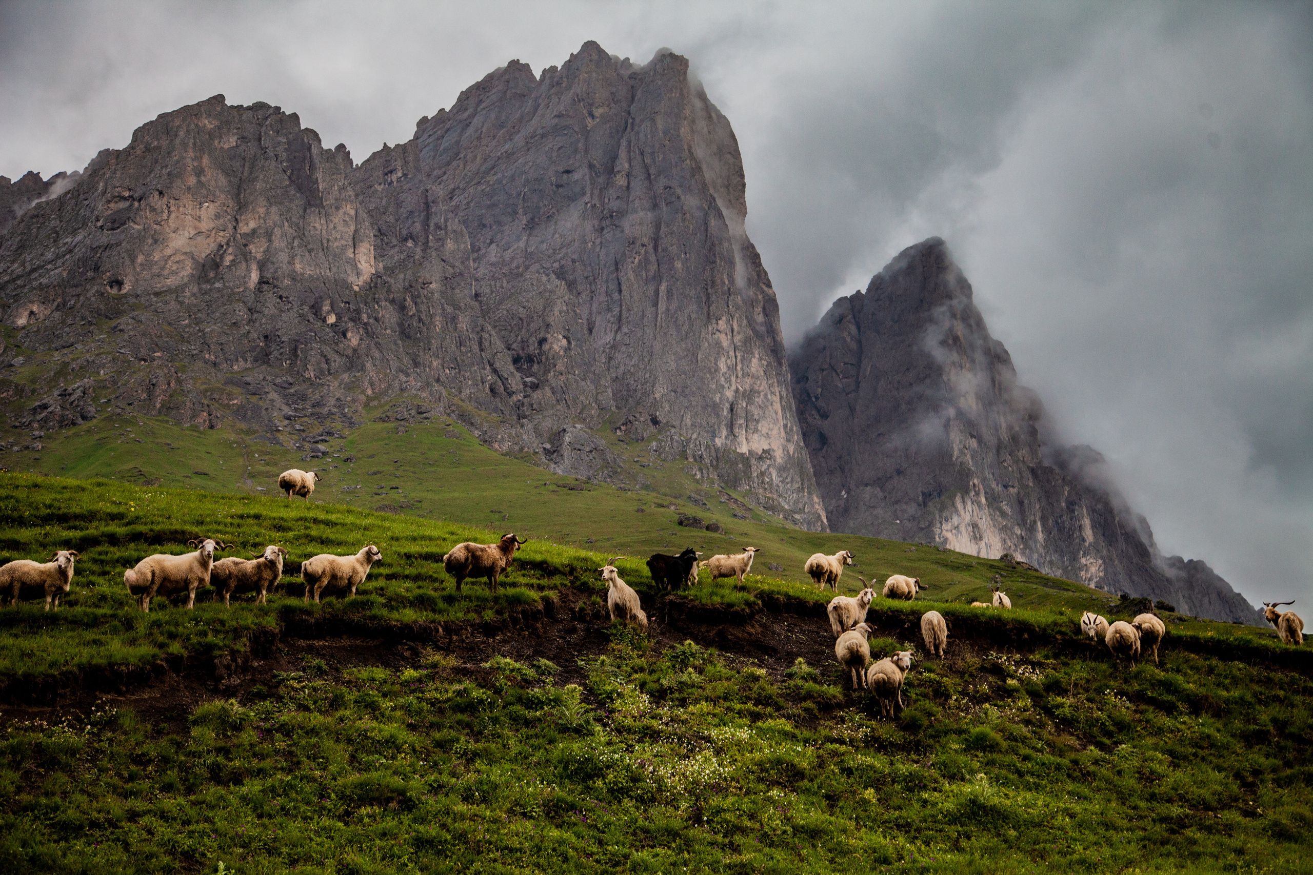 In harmony. Фотохудожник