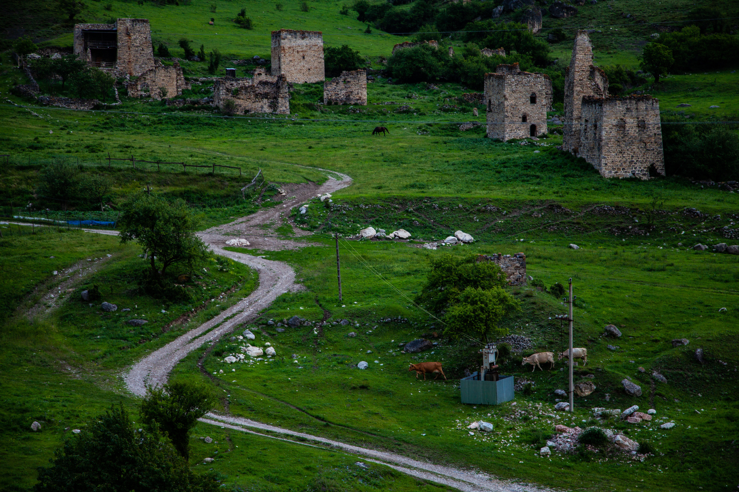 In harmony. Фотохудожник