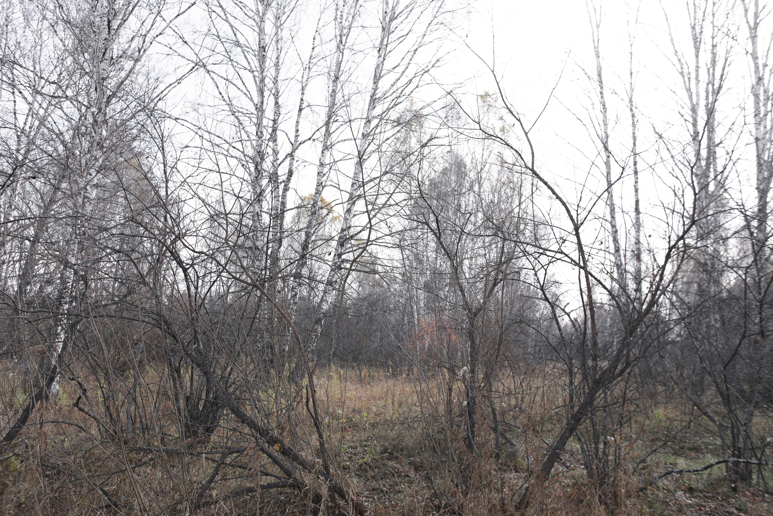 ДЕРЕВНЯ. Портретный и арт-фотограф Манакова Ольга. Челябинск