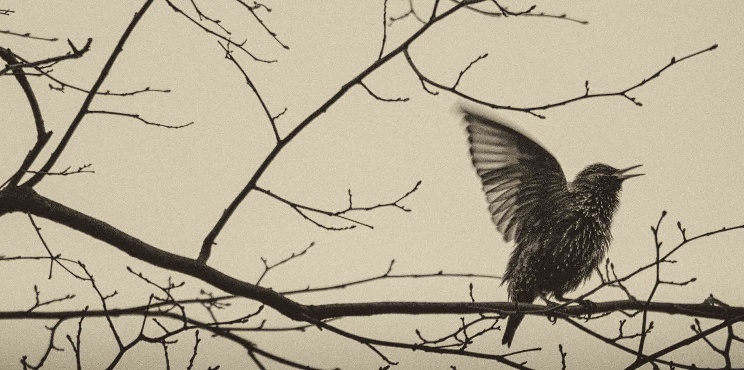 Елена Гонтаренко — художественный портрет. Фотограф в России, Семейный фотограф, репортажный фотограф, детский фотограф, портретный фотограф, контент фотограф, универсальный фотограф