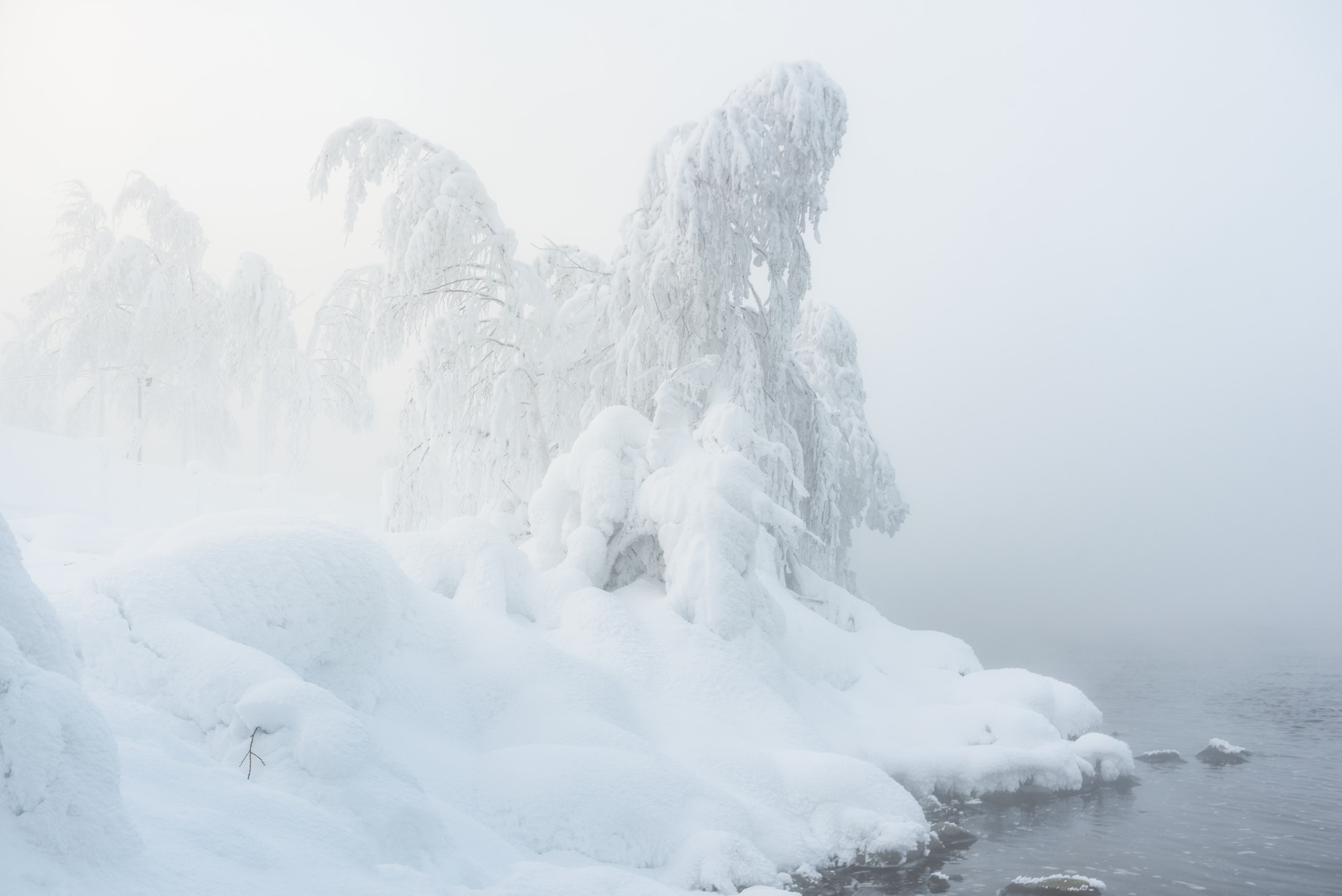 Фототур в Заполярье. Февраль 2021. Андрей Баскевич пейзажный и travel-фотограф в Зеленограде