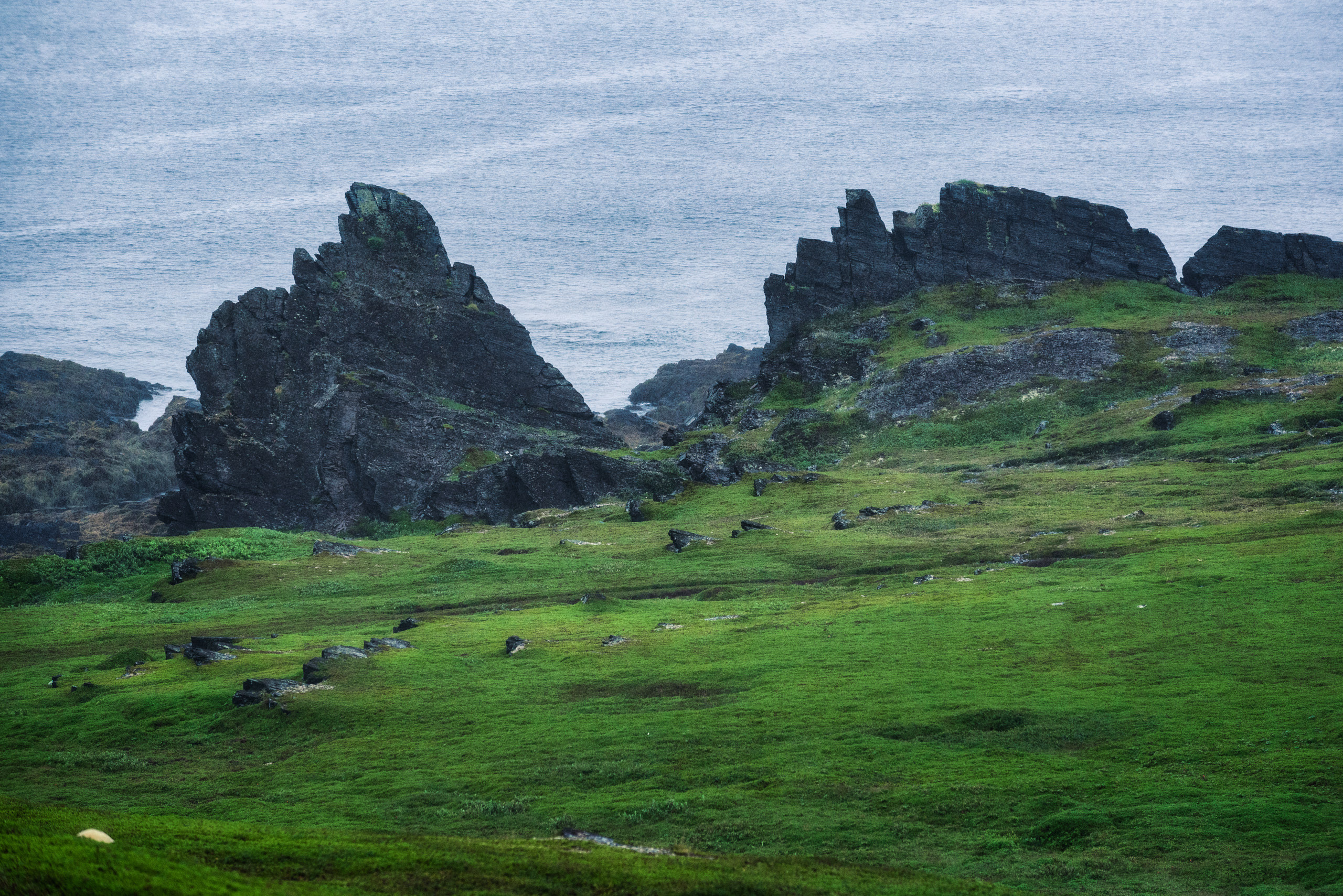 Полуостров Рыбачий. Август 2020. Андрей Баскевич пейзажный и travel-фотограф в Зеленограде