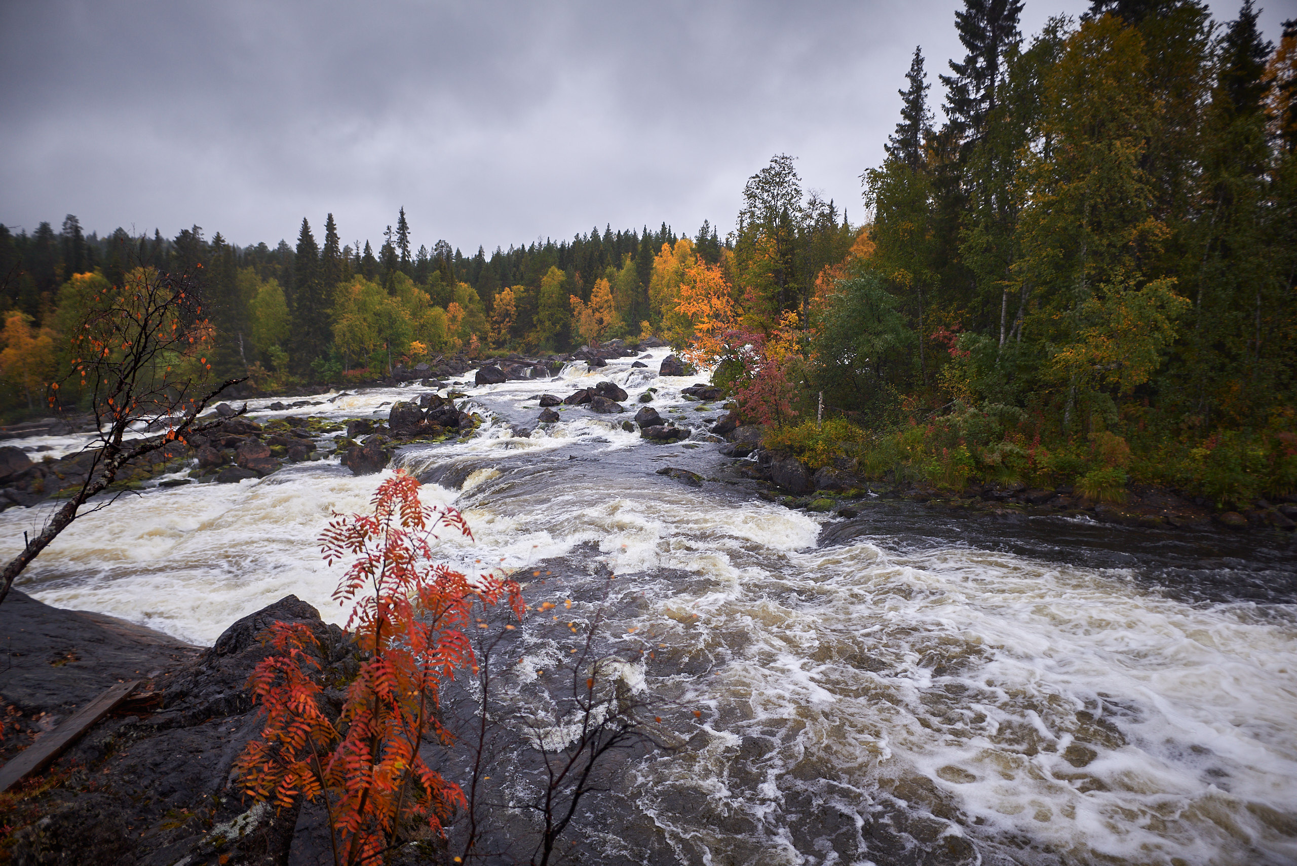 Водопад Киваккакоски в Национальном парке Паанаярви. Пейзажный фотограф Андрей Баскевич