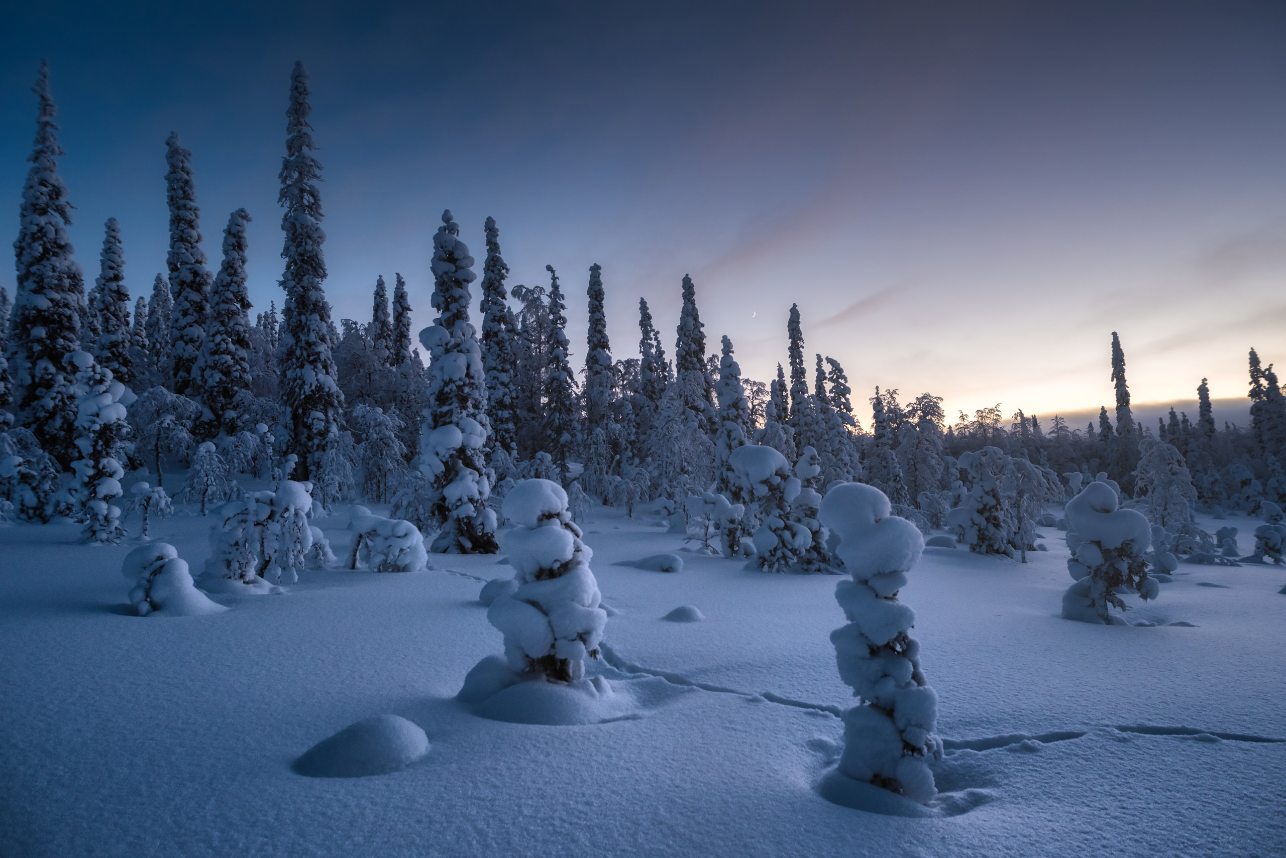 Фототур в Заполярье. Февраль 2021. Андрей Баскевич пейзажный и travel-фотограф в Зеленограде