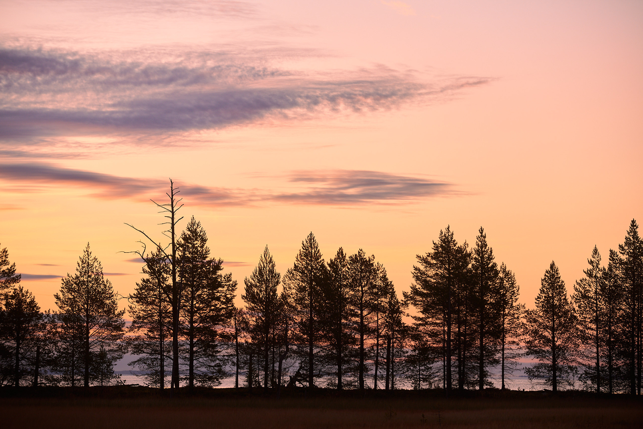 Рассветные краски на озере Топозеро в северной Карелии. Пейзажный фотограф Андрей Баскевич