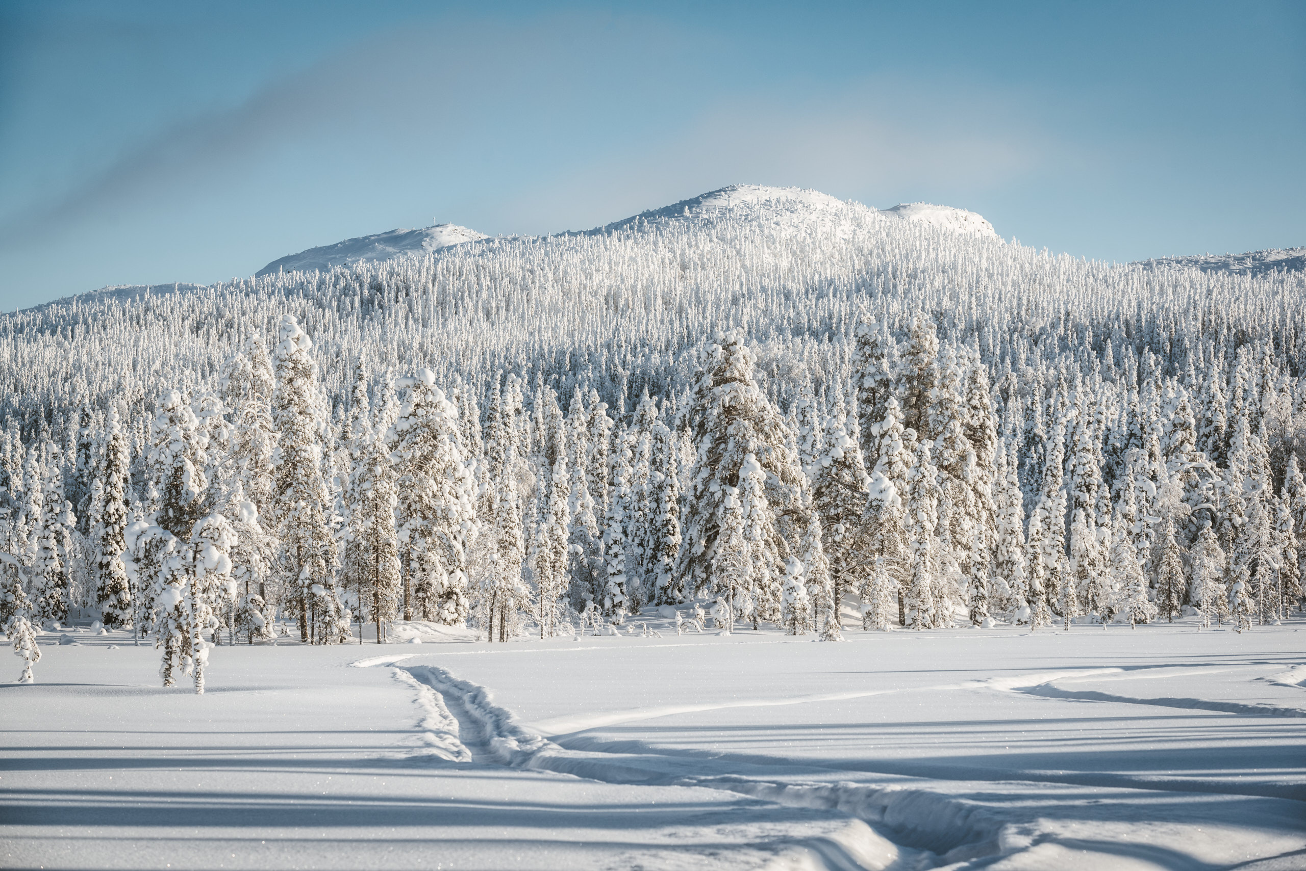 Фототур в Заполярье. Февраль 2021. Андрей Баскевич пейзажный и travel-фотограф в Зеленограде