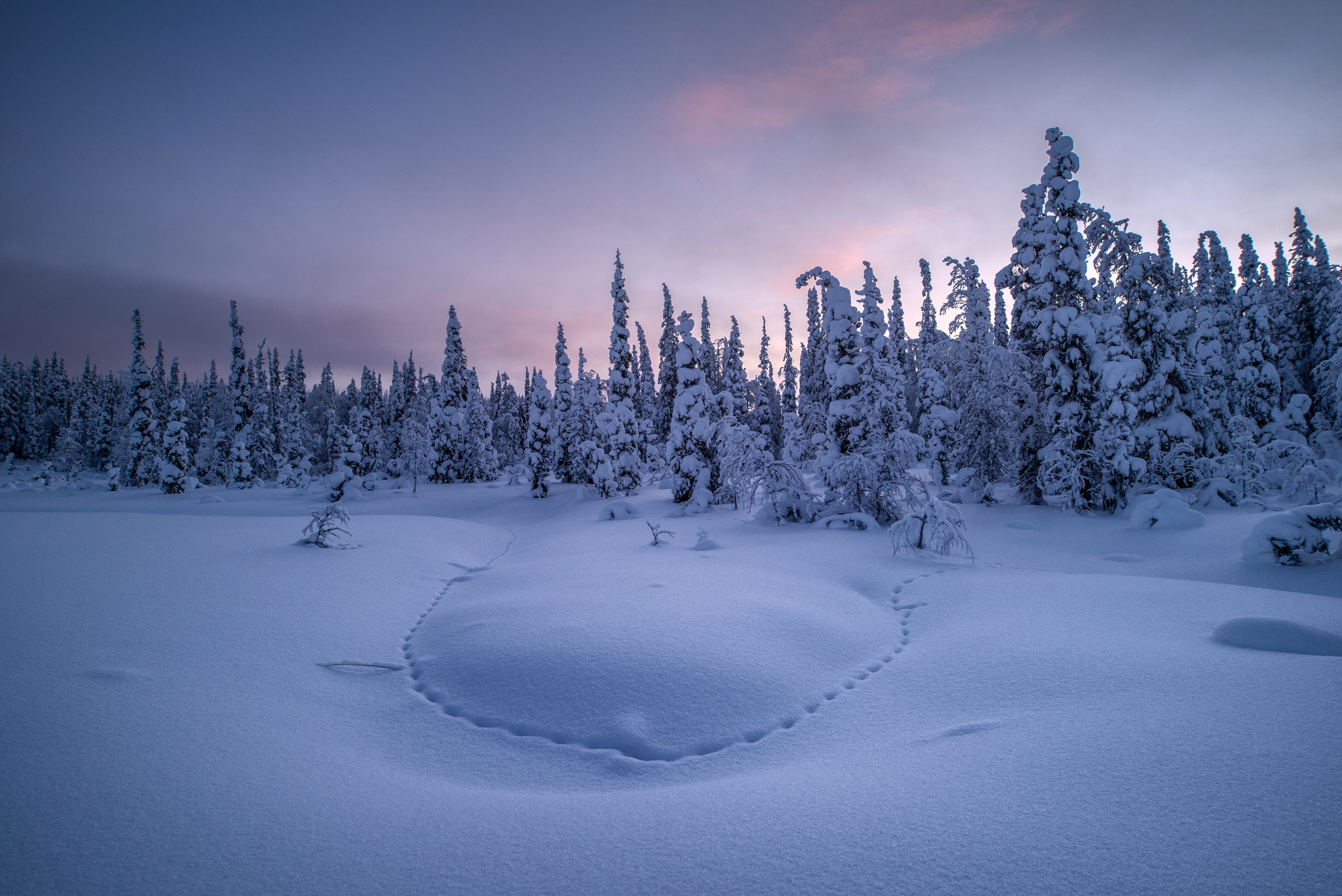 Фототур в Заполярье. Февраль 2021. Андрей Баскевич пейзажный и travel-фотограф в Зеленограде