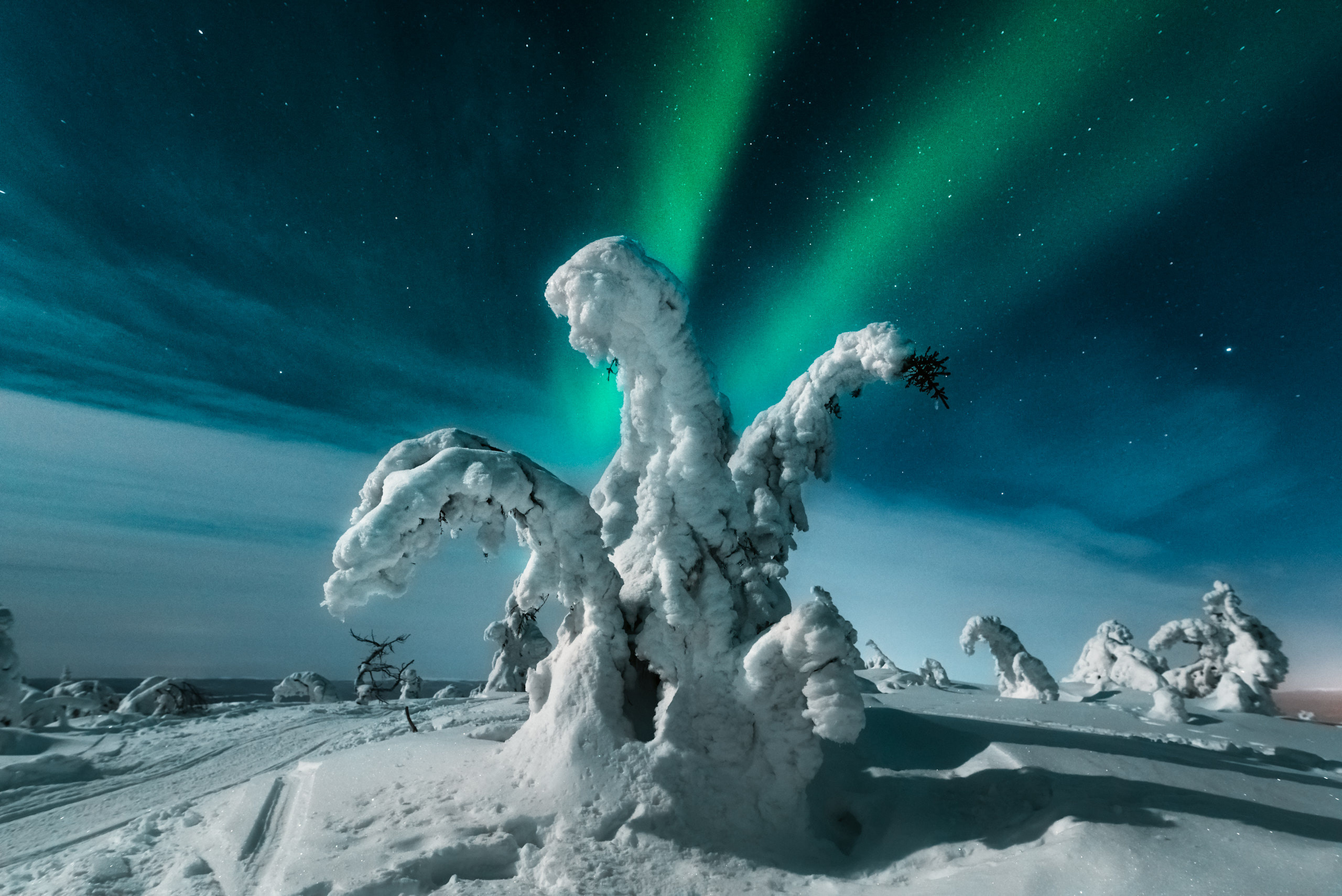 Заполярье. Январь 2020. Андрей Баскевич пейзажный и travel-фотограф в Зеленограде