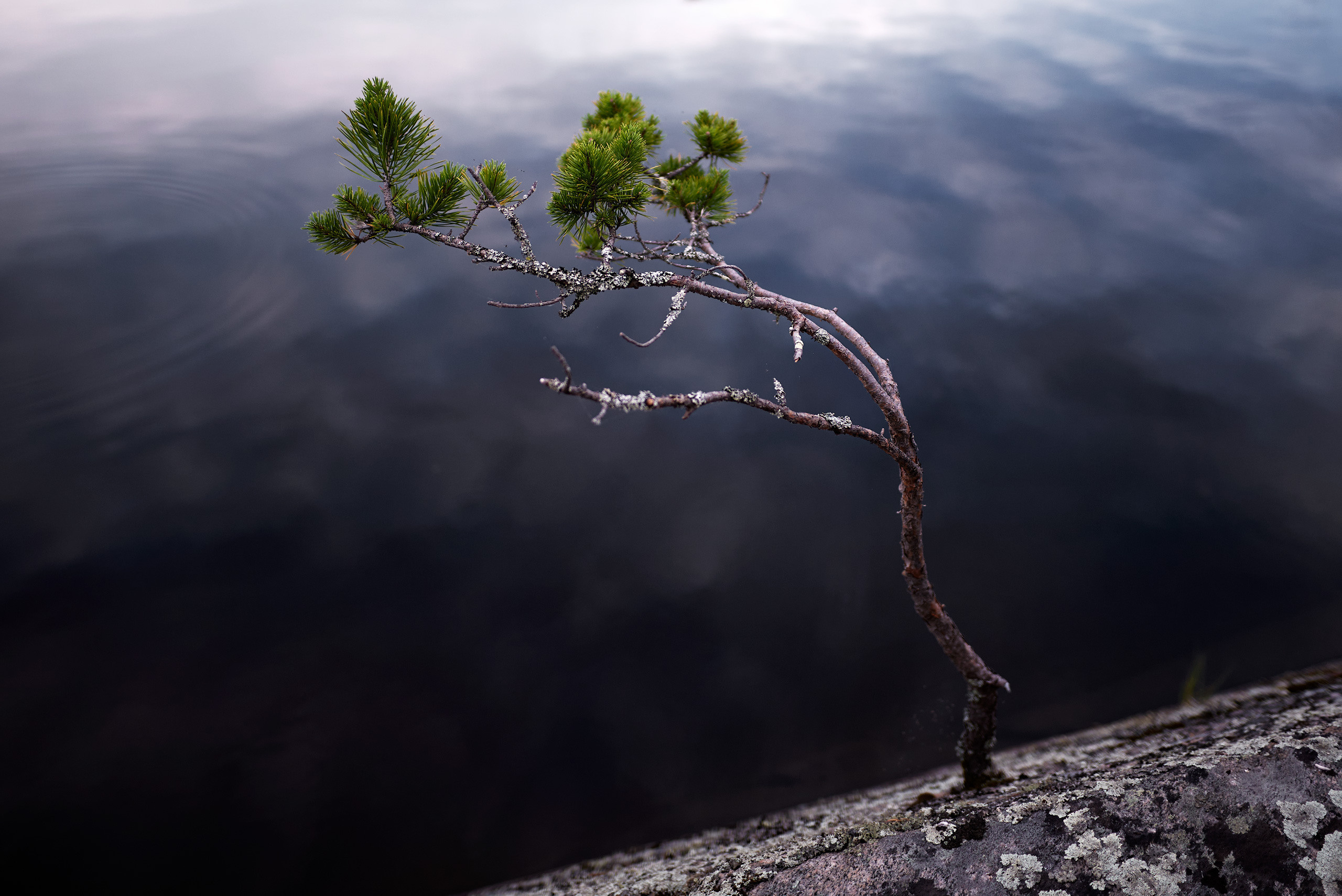 Пейзажи северной Карелии. Андрей Баскевич пейзажный и travel-фотограф в Зеленограде