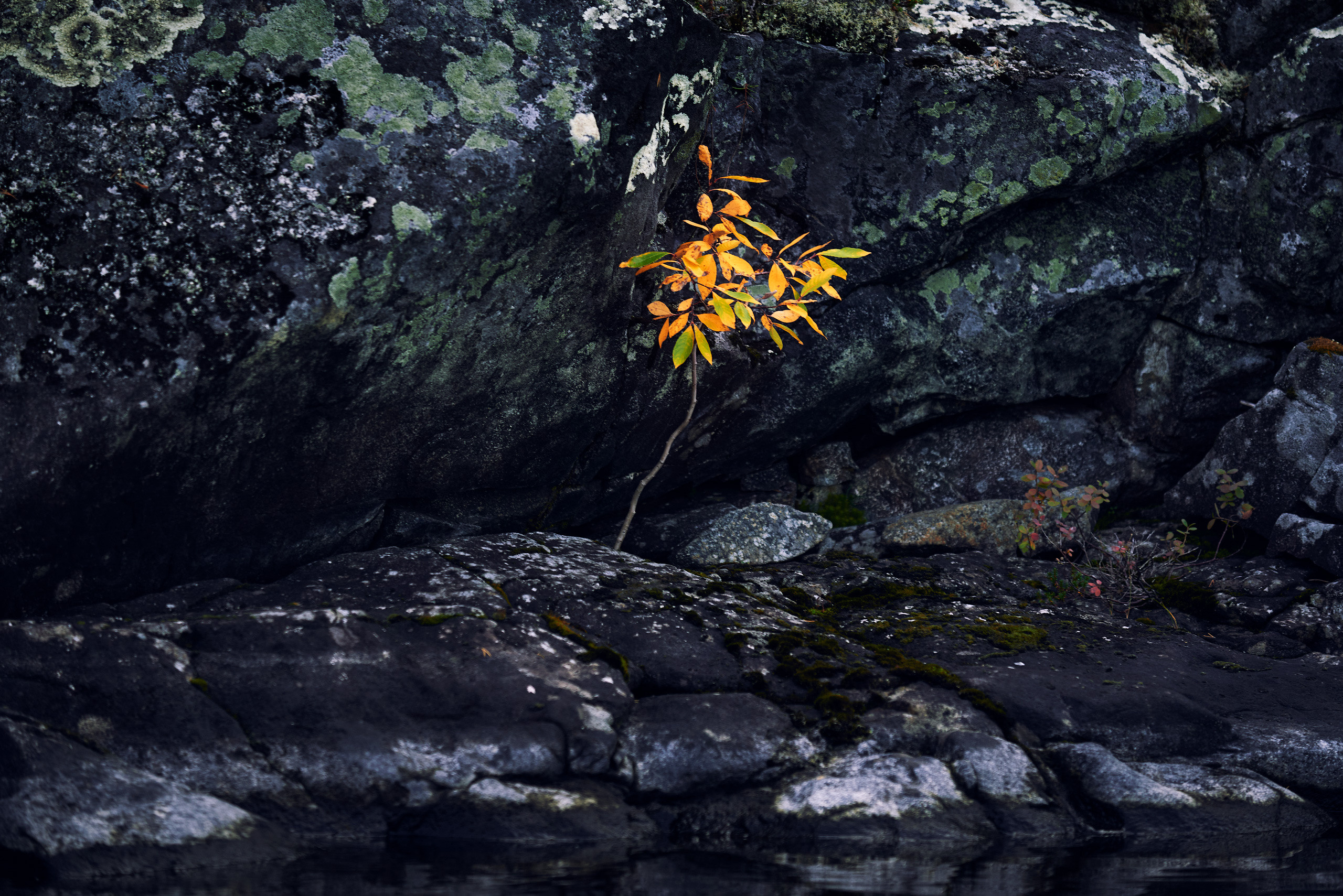 Пейзажи северной Карелии. Андрей Баскевич пейзажный и travel-фотограф в Зеленограде