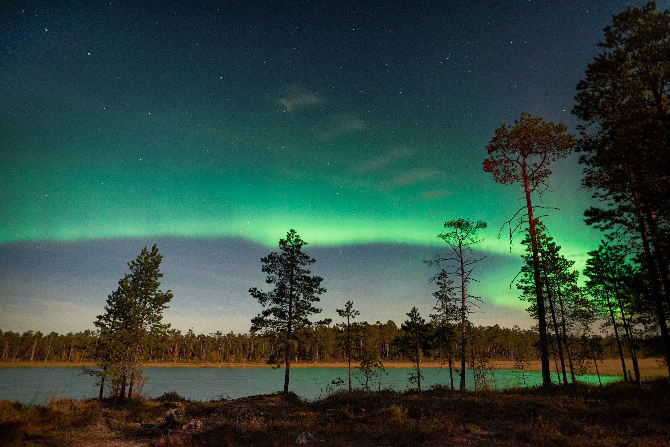 Танцы полярного сияние над Топозером в северной Карелии. Пейзажный фотограф Андрей Баскевич