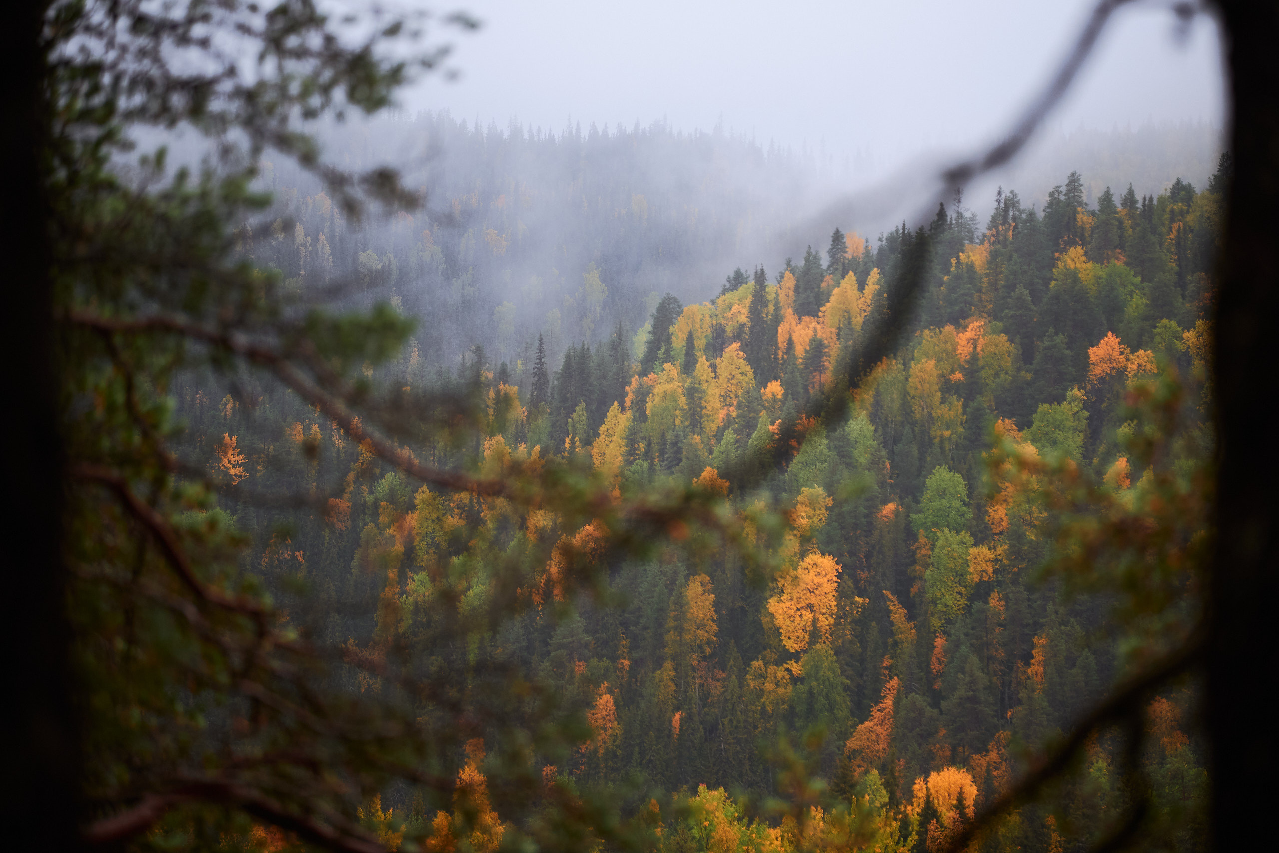 Осенние краски Паанаярви. Пасмурная погода и дождь только добавляют атмосферности фотографиям. Пейзажный фотограф Андрей Баскевич