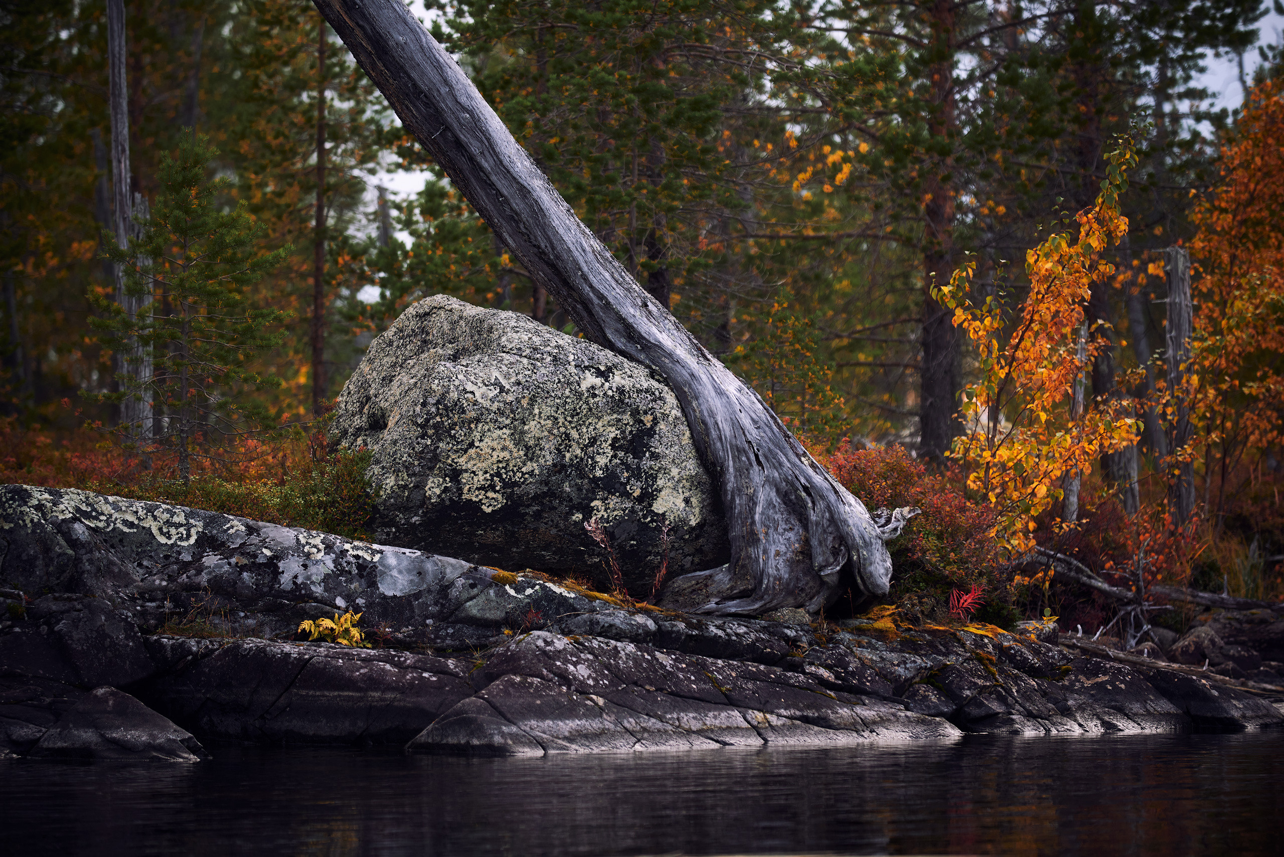 Пейзажи северной Карелии. Андрей Баскевич пейзажный и travel-фотограф в Зеленограде