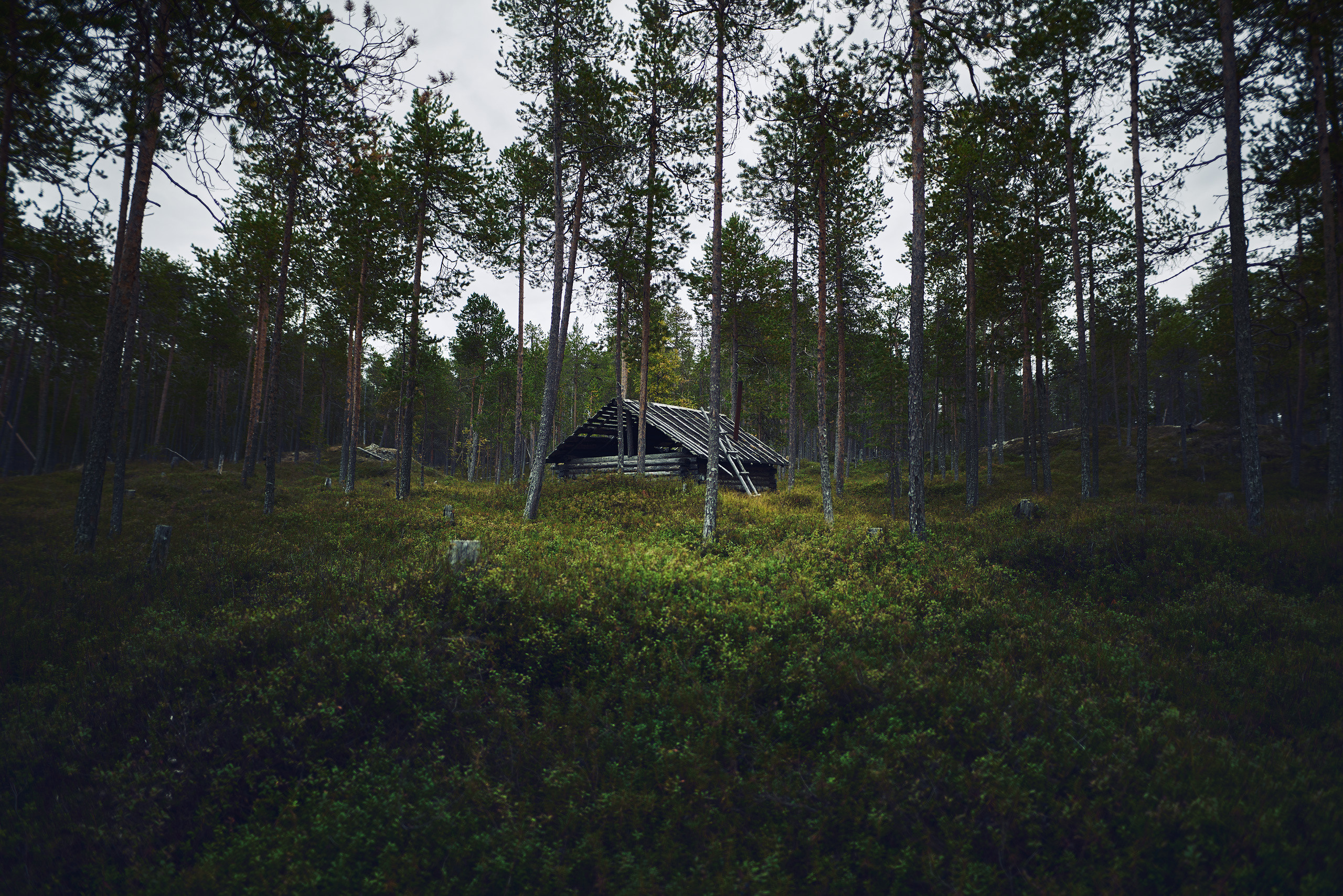 Пейзажи северной Карелии. Андрей Баскевич пейзажный и travel-фотограф в Зеленограде