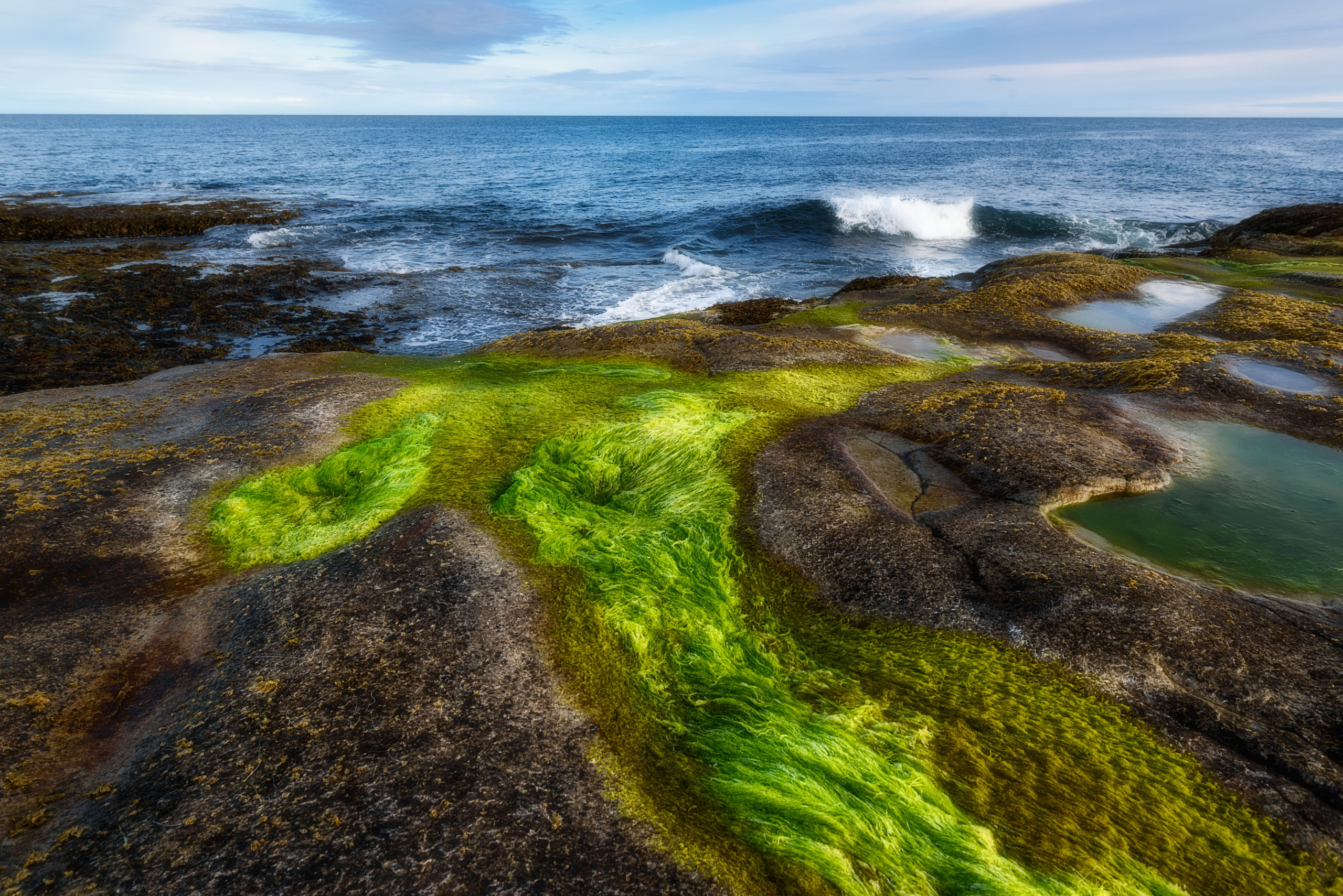 Полуостров Рыбачий. Август 2020. Андрей Баскевич пейзажный и travel-фотограф в Зеленограде