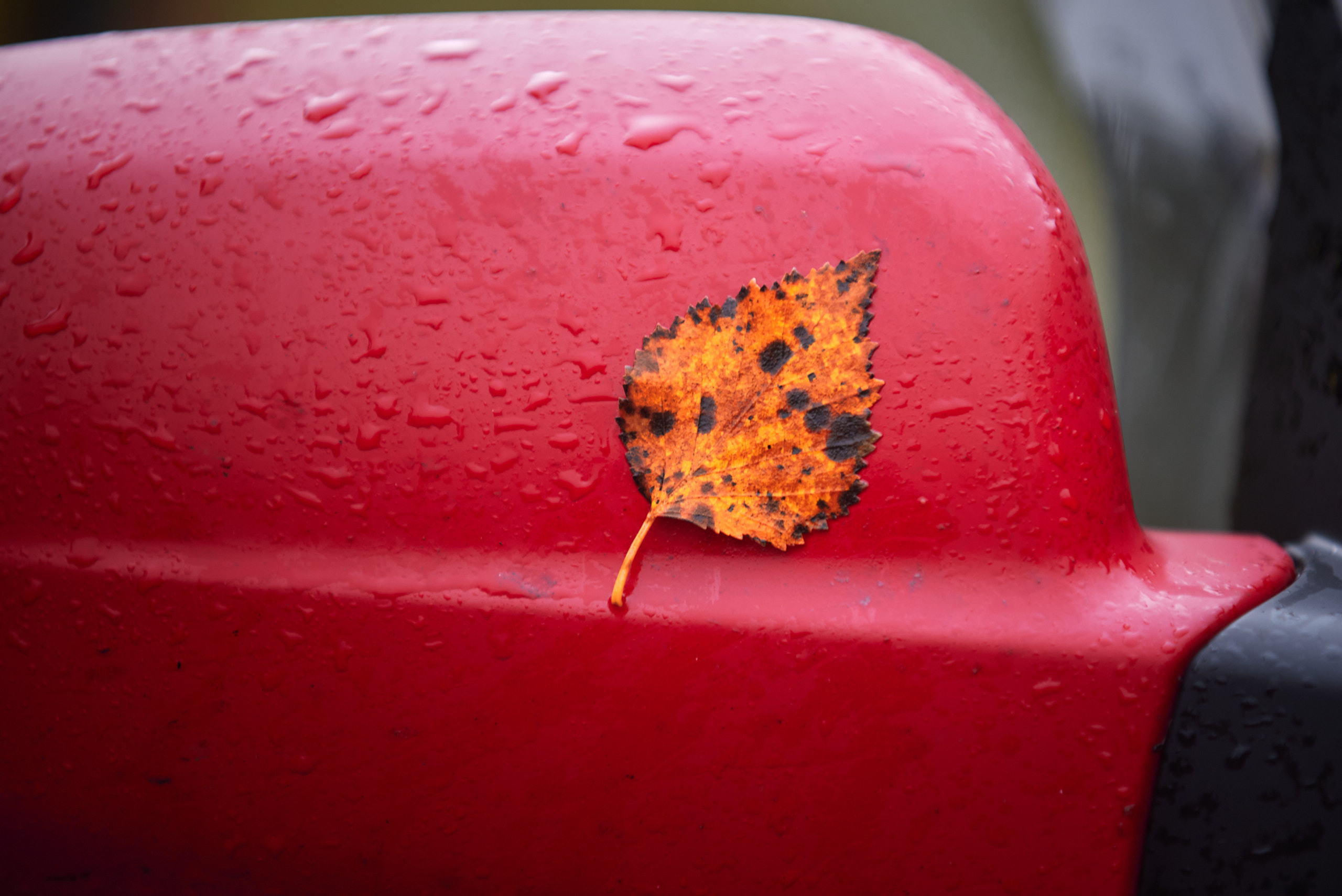 Пейзажи северной Карелии. Андрей Баскевич пейзажный и travel-фотограф в Зеленограде